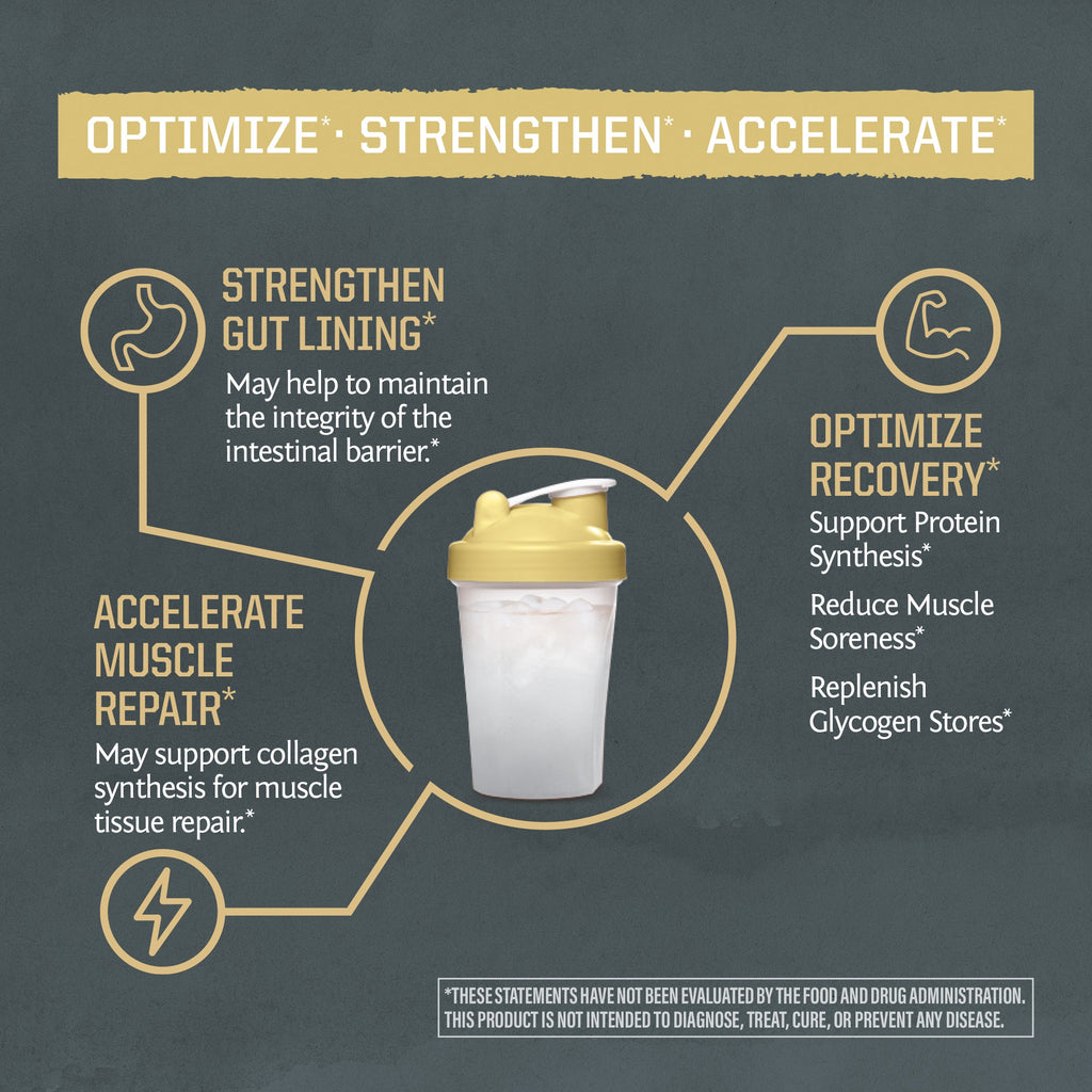 Active Glutamine