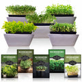 Microgreens Seeds Variety Pack – 5 Heirloom Non-GMO Microgreen Seed Packs for Indoor Growing & Sprouting