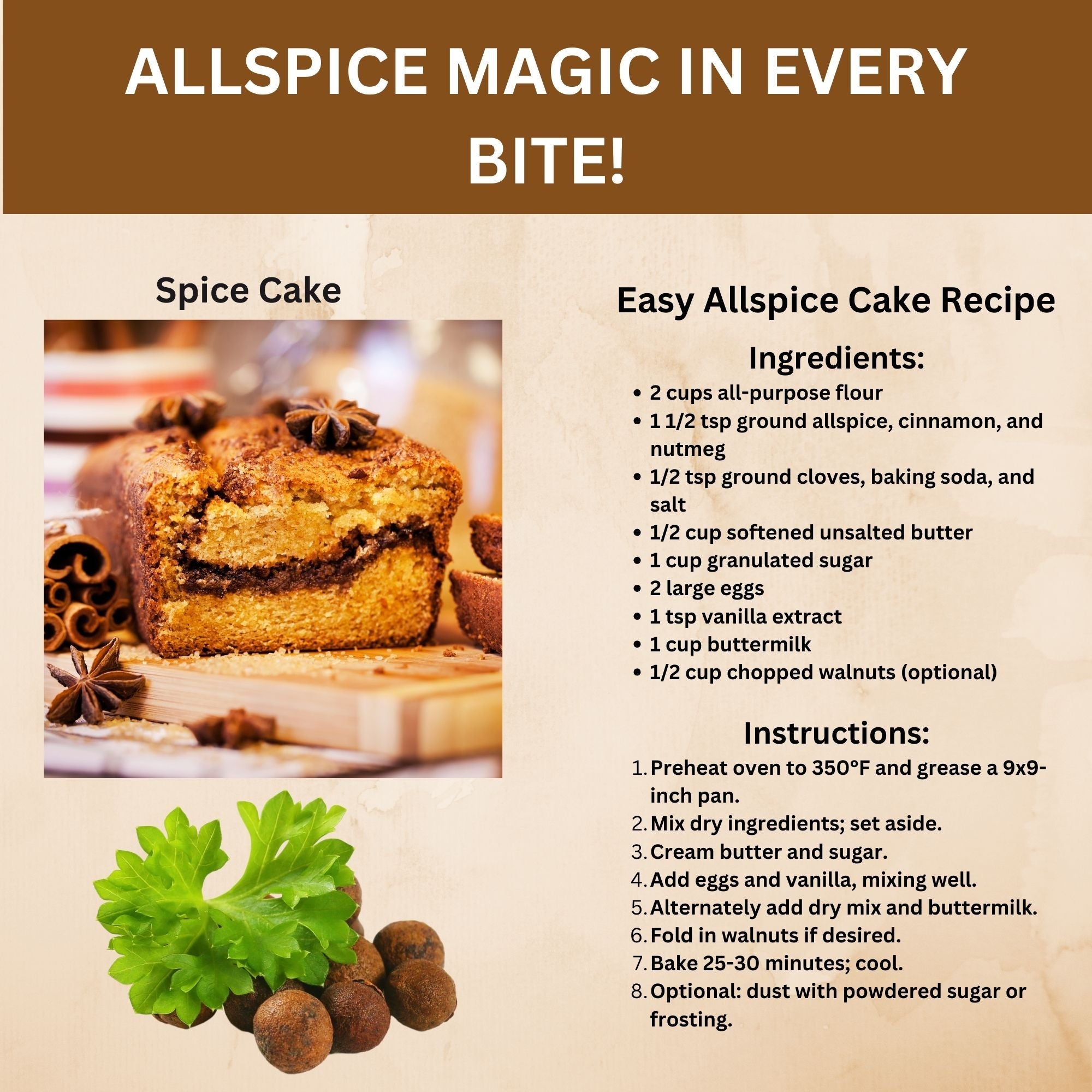 Organic Allspice Whole — USDA Certified | Pickling, Mulled Wine & Slow Cooking