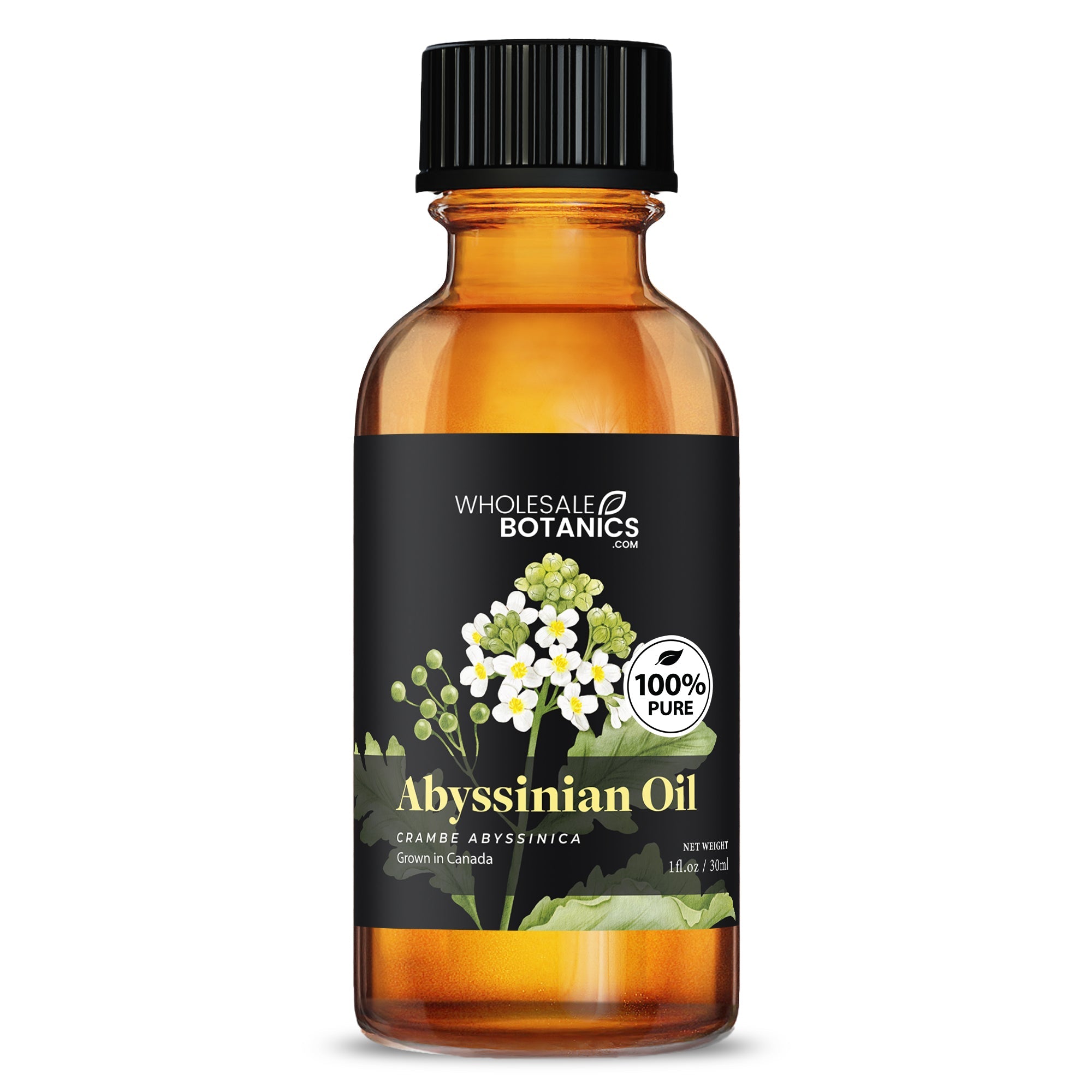 Abyssinian Oil