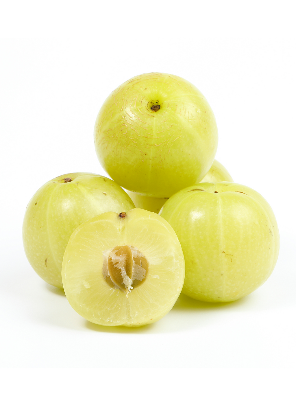 Amla, Indian Gooseberry (Phyllanthus emblica)