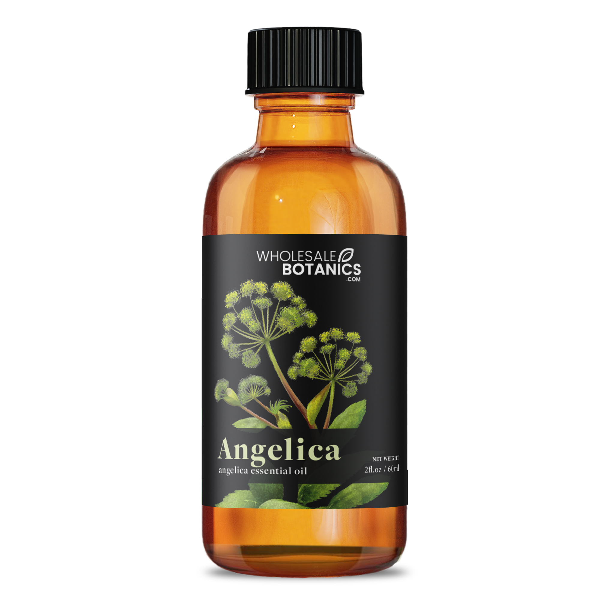 Angelica Essential Oil