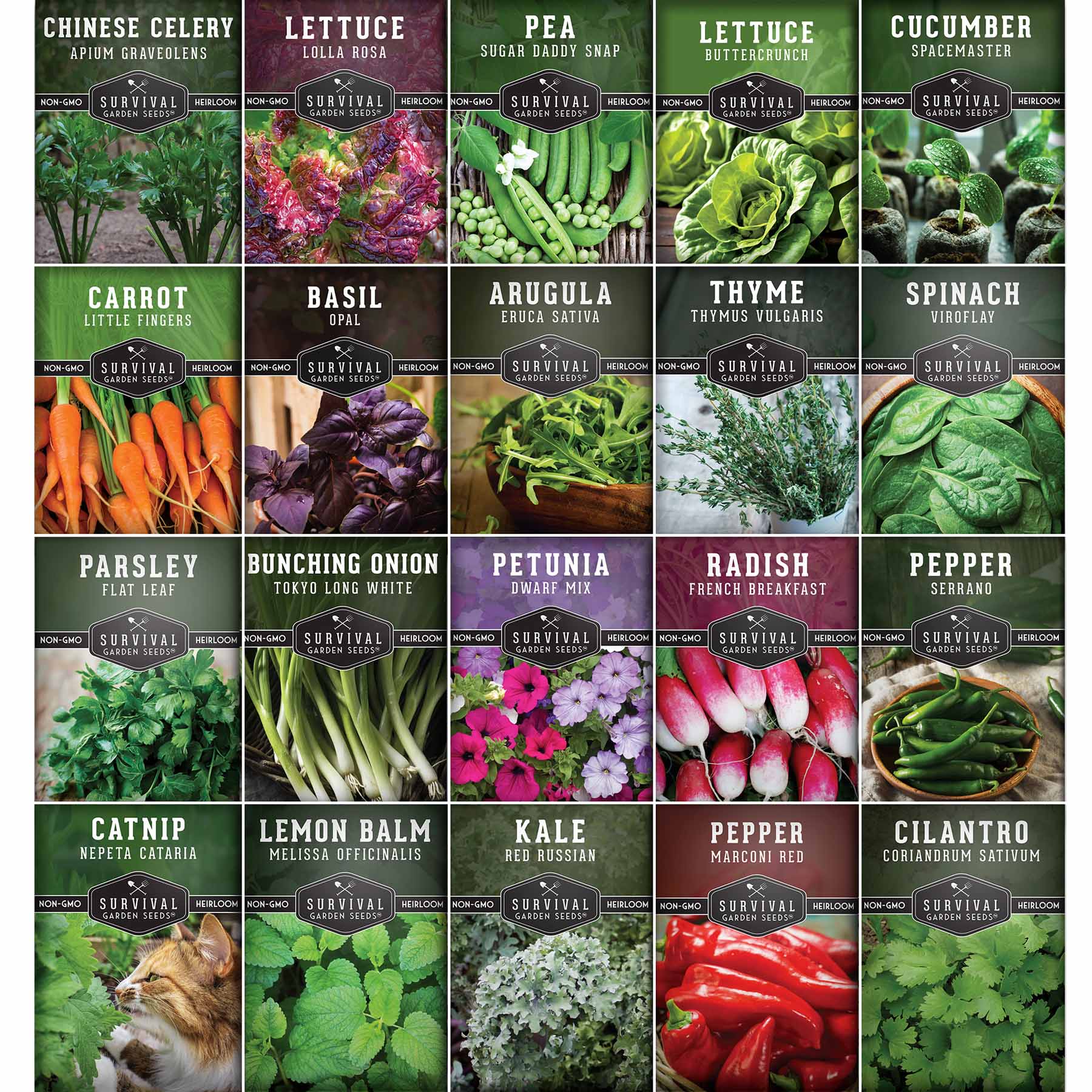 20 Variety Apartment Kit Seed Vault – Non-GMO Heirloom Seeds for Hydroponic & Indoor Small-Space Gardening