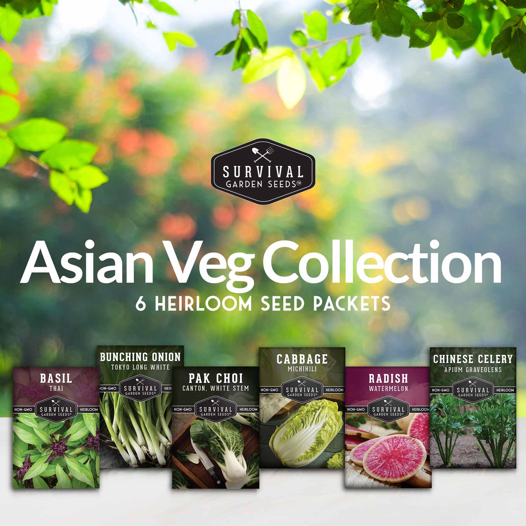 Asian Vegetable Seed Collection – 6 Heirloom, Non-GMO Varieties for Stir-Fries, Soups & Authentic Home Cooking