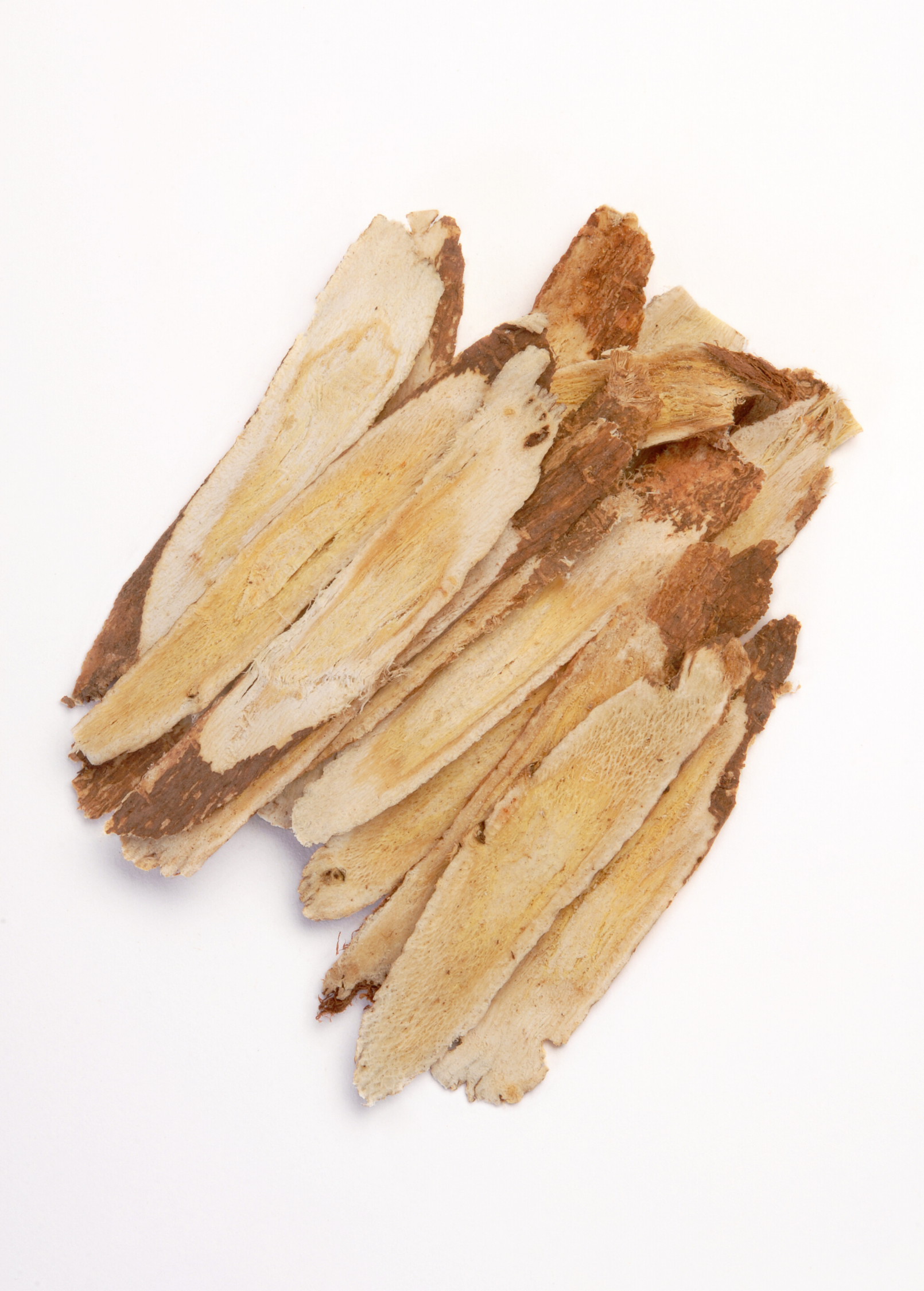 Astragalus (Astragalus membranaceus)