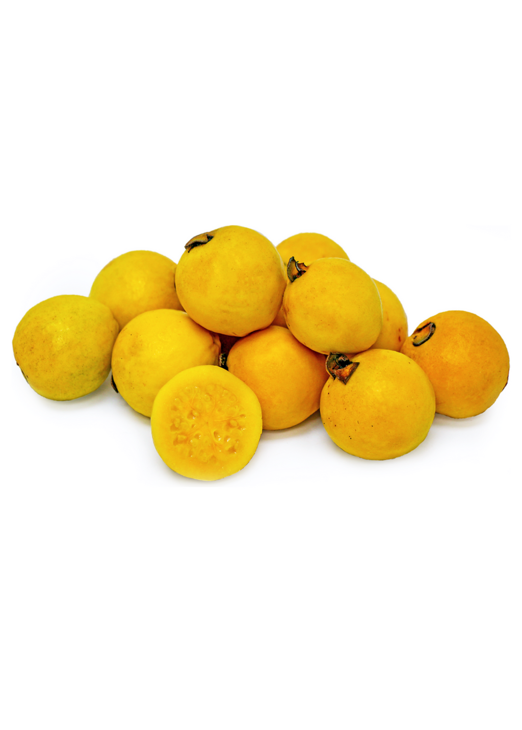 Brazilian Guava (Psidium angulatum)