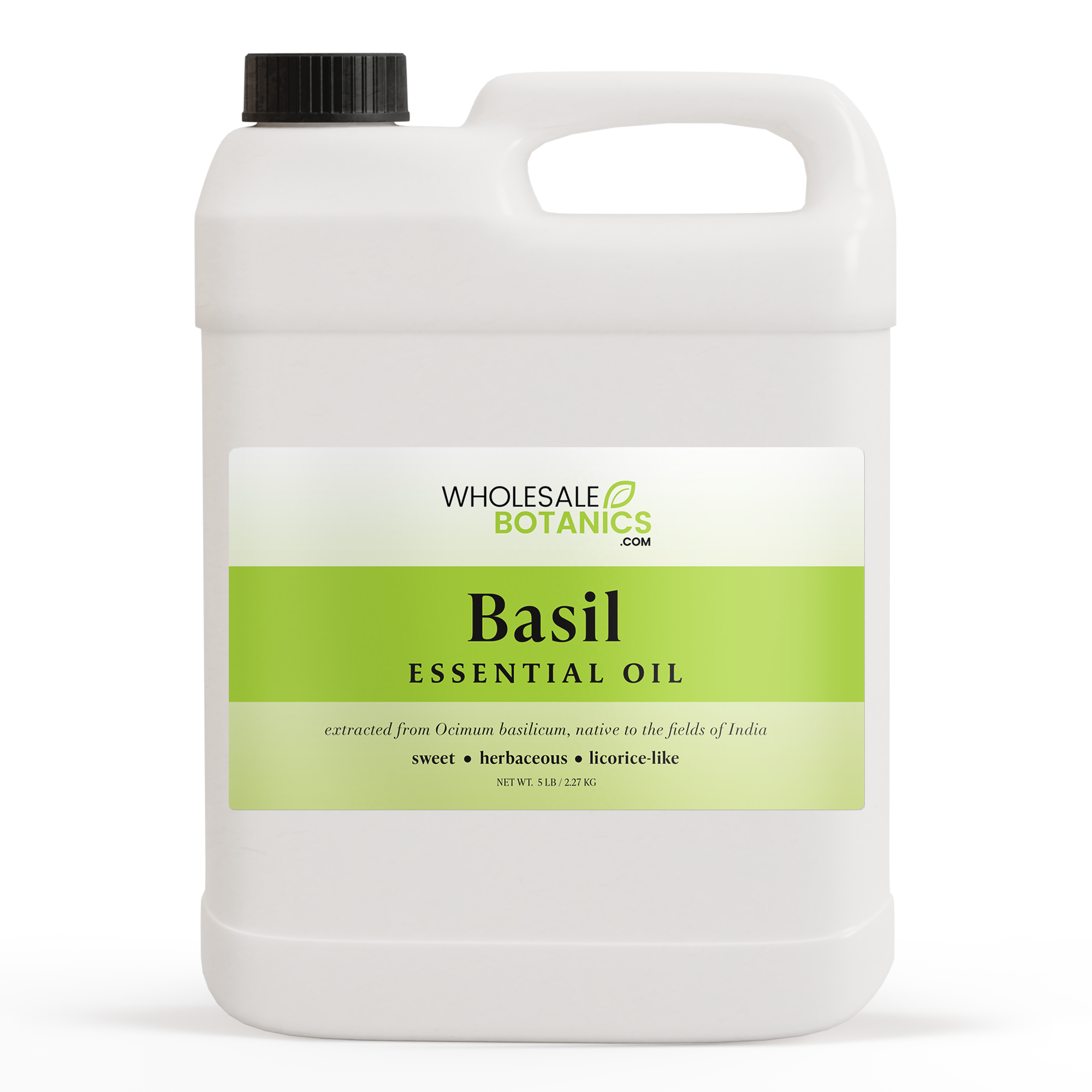 Basil Essential Oil (Sweet)