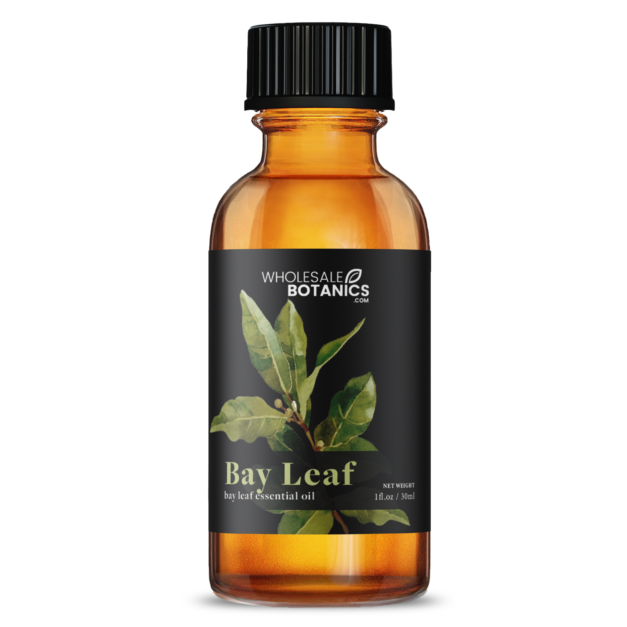 Bay Leaf Essential Oil