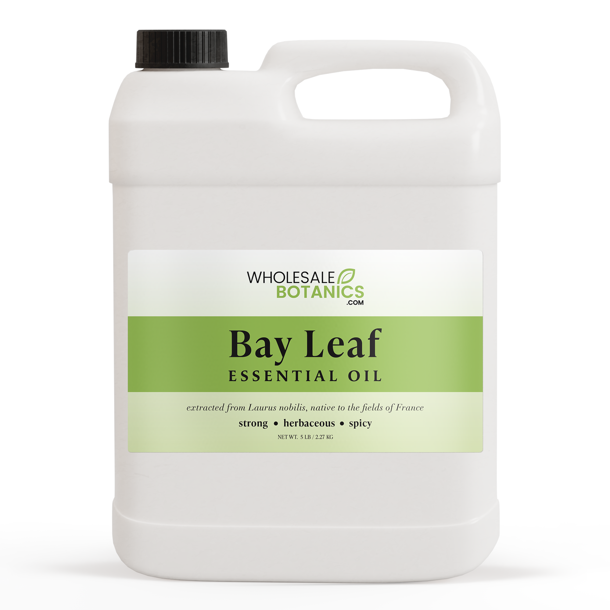 Bay Leaf Essential Oil
