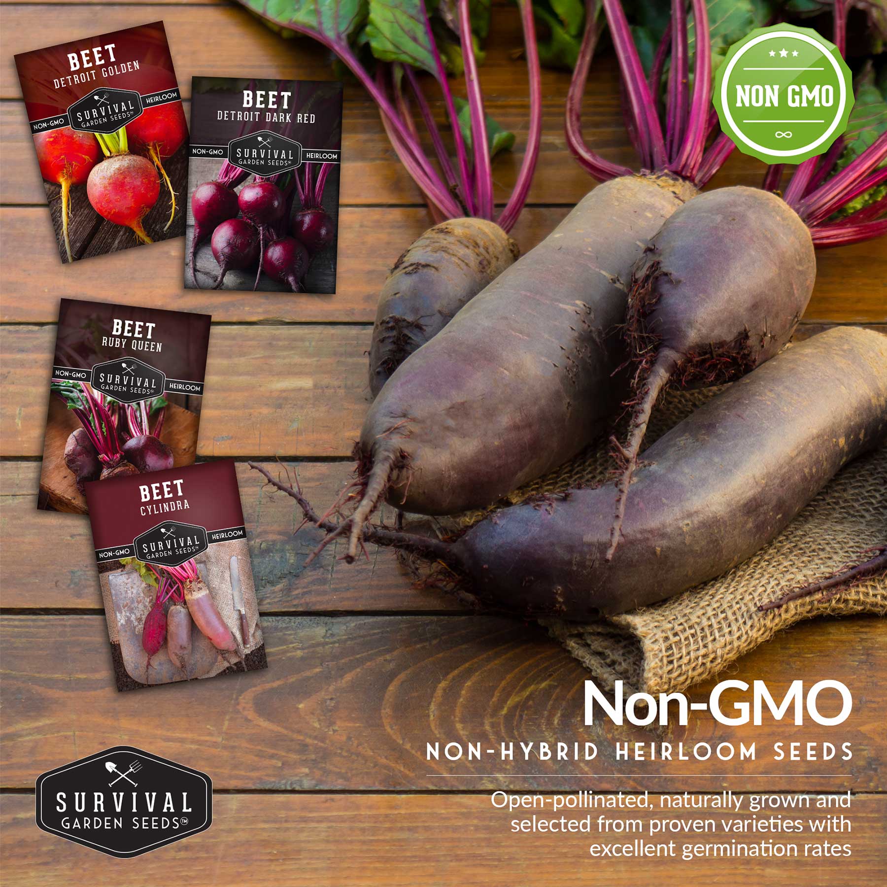 Beet Seed Collection – Cylindra, Ruby Queen, Detroit Dark Red & Golden Beets
