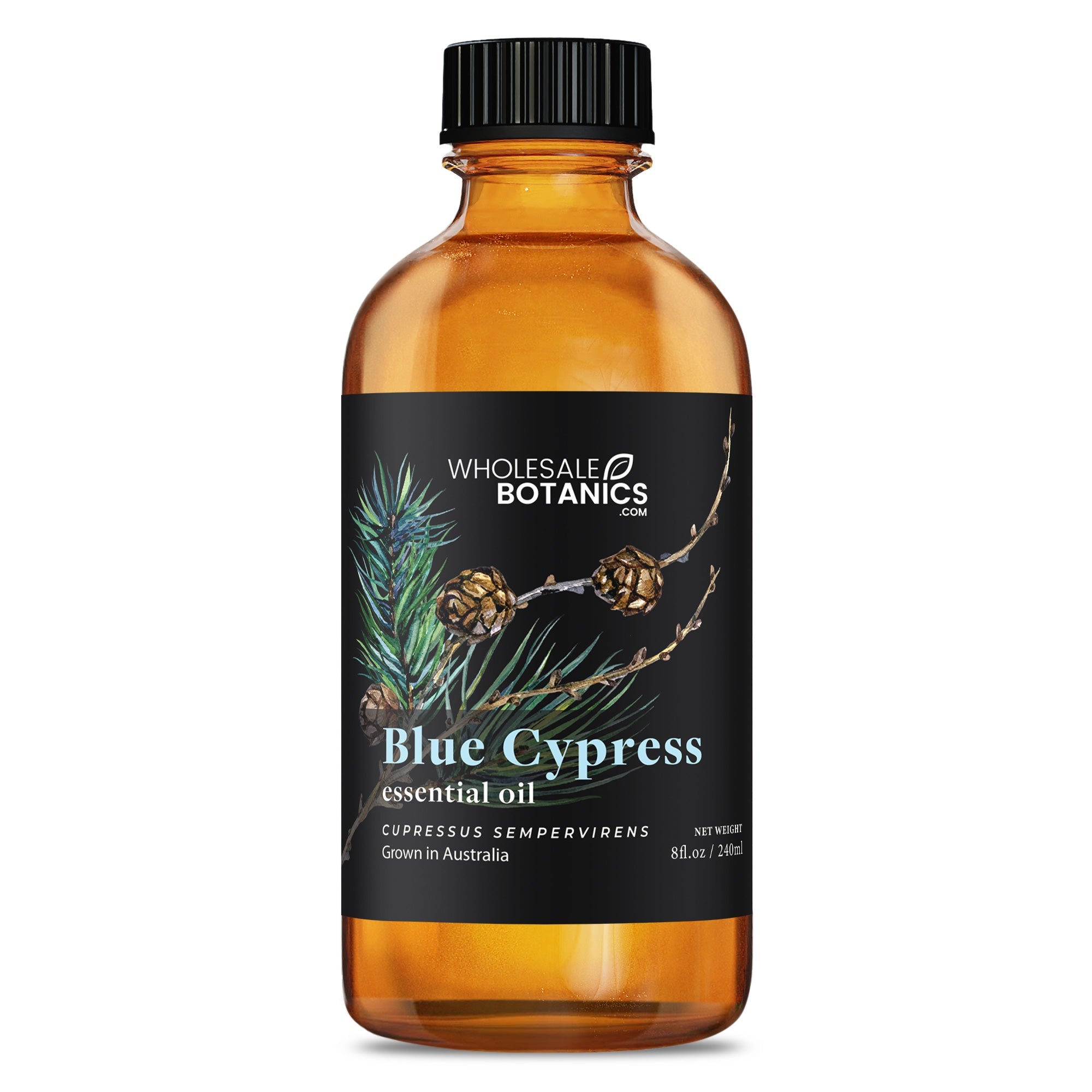 Blue Cypress Essential Oil