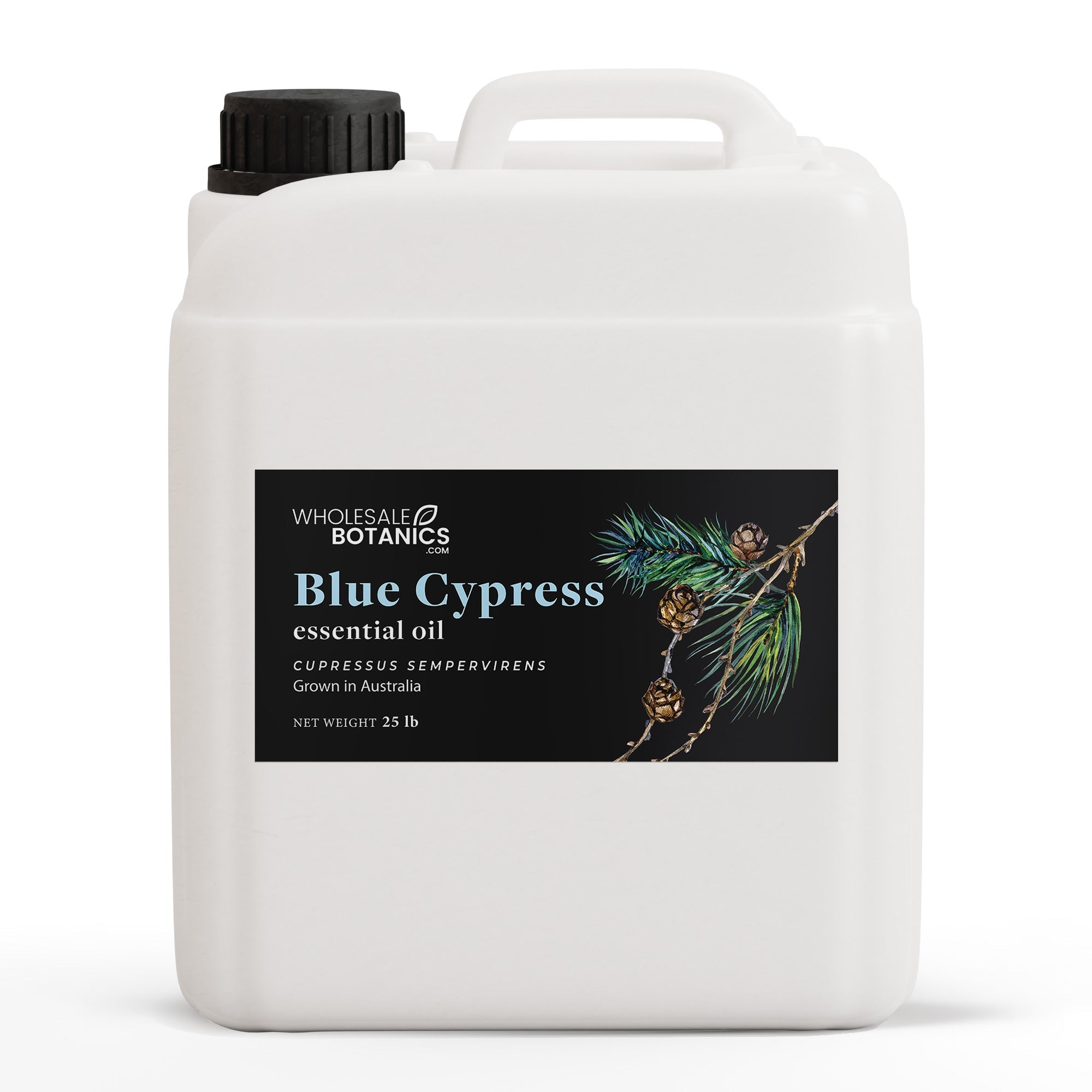 Blue Cypress Essential Oil