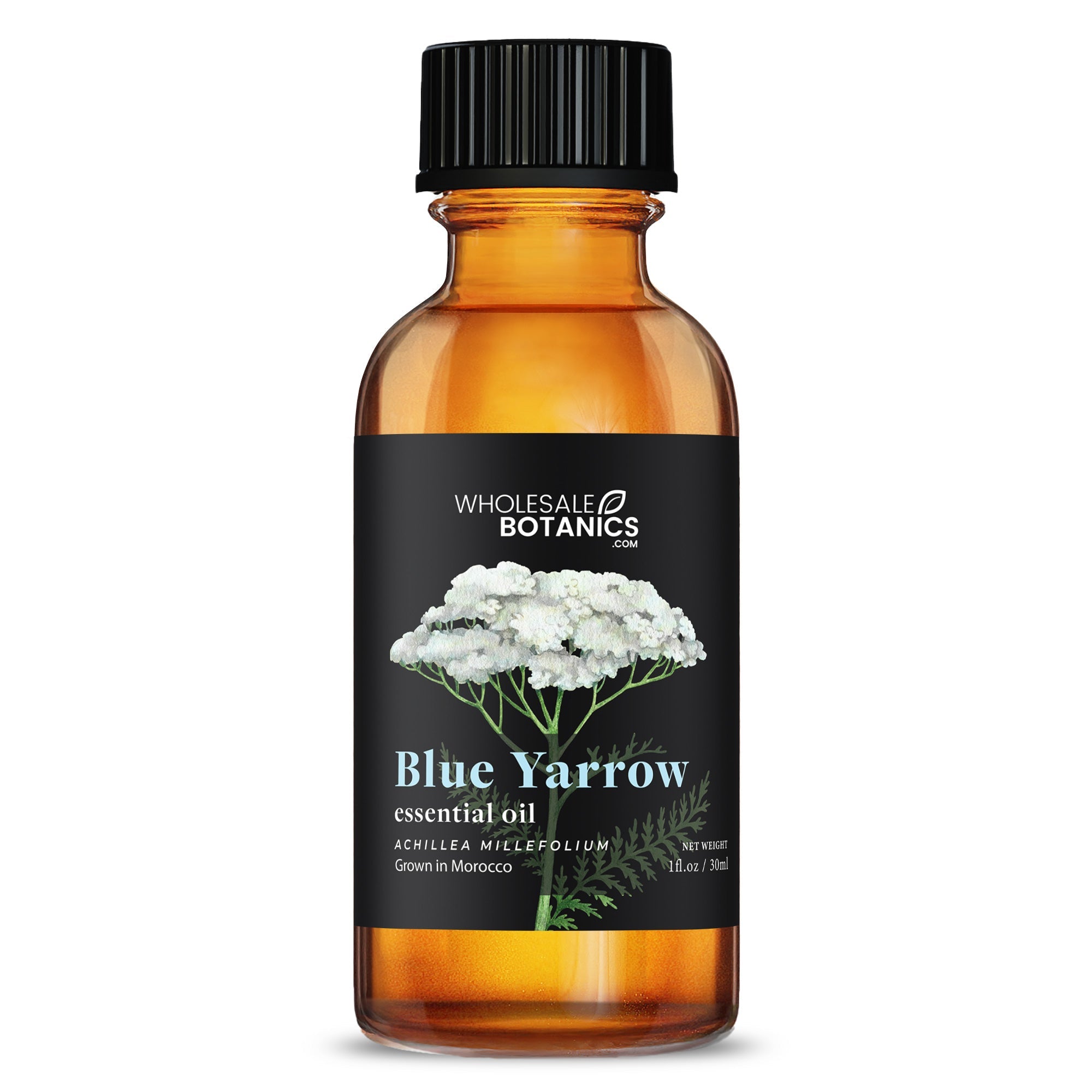 Blue Yarrow Essential Oil