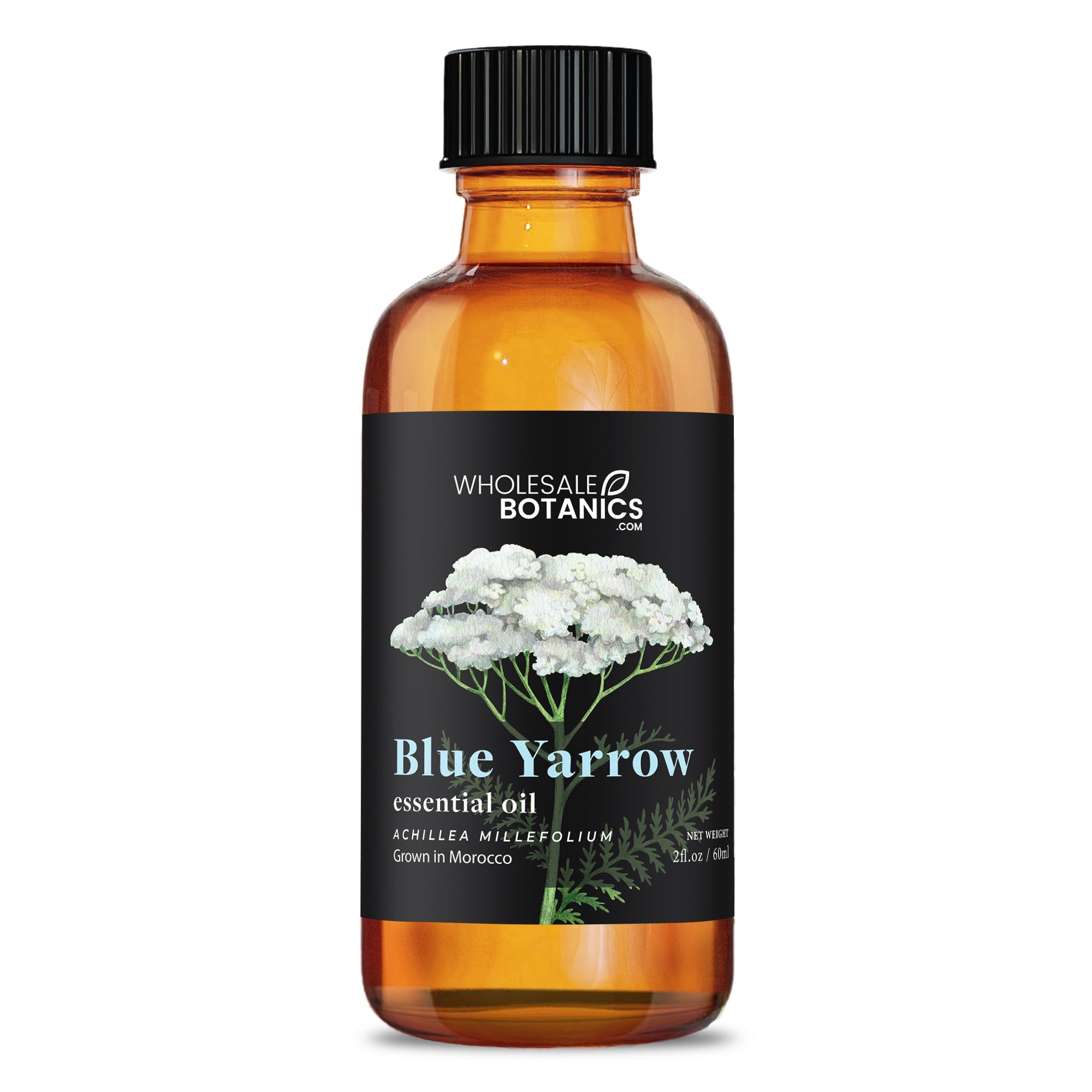 Blue Yarrow Essential Oil