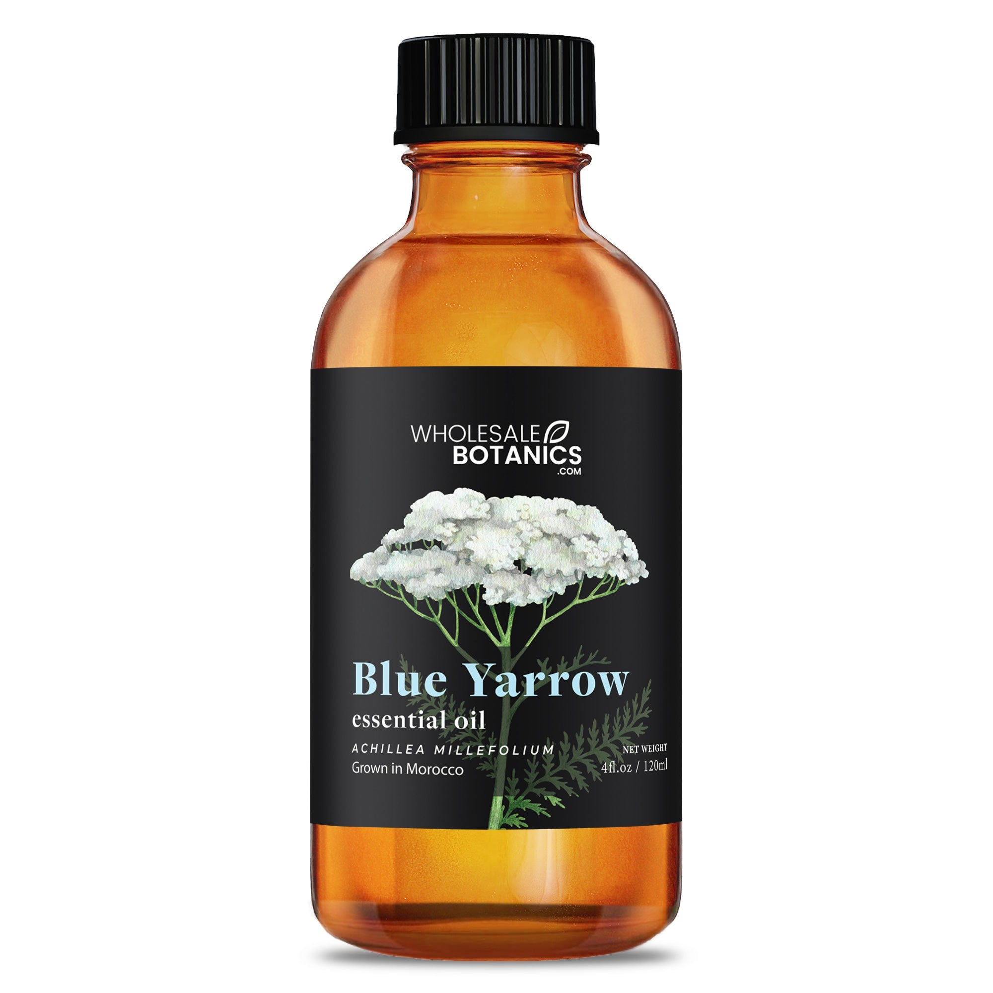 Blue Yarrow Essential Oil