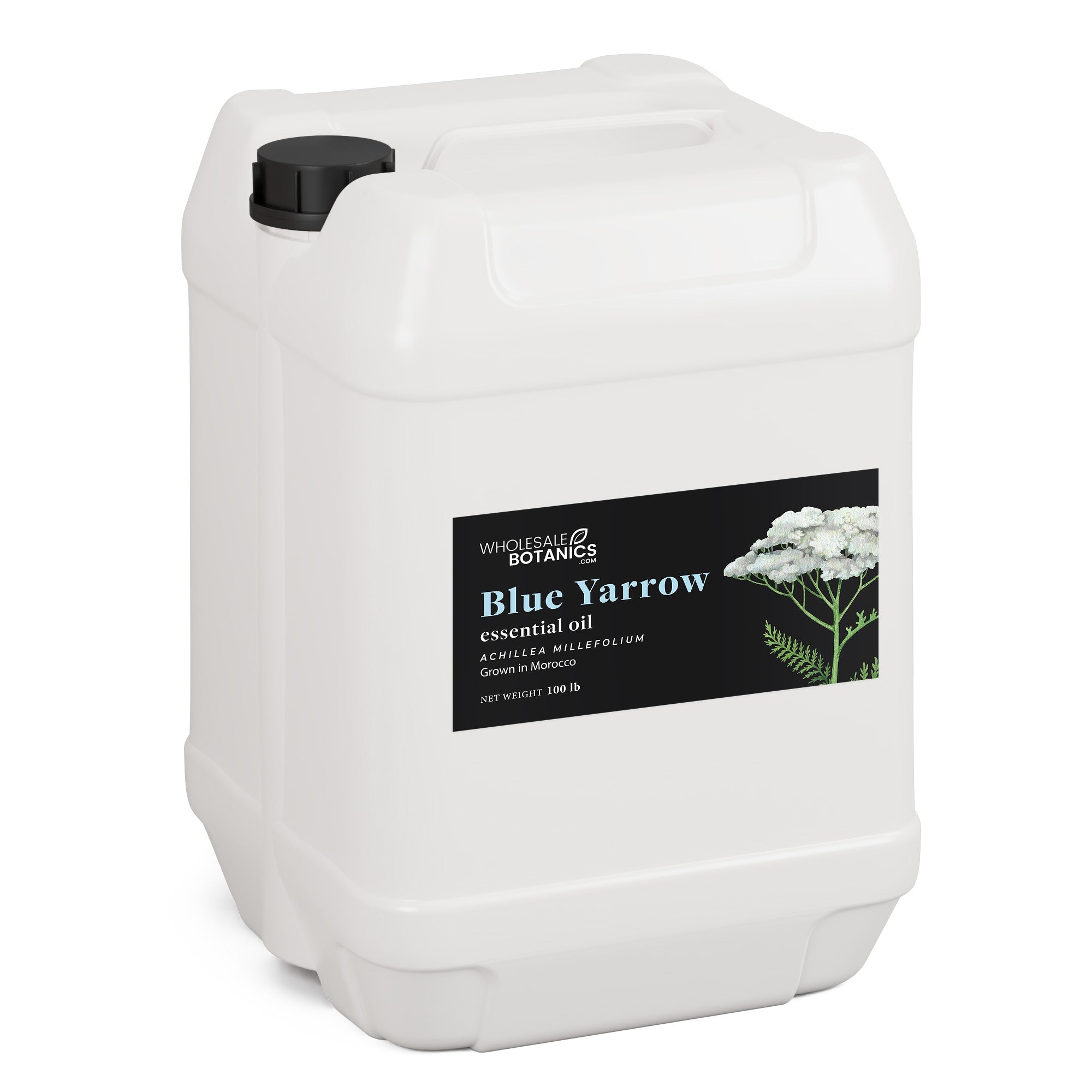 Blue Yarrow Essential Oil