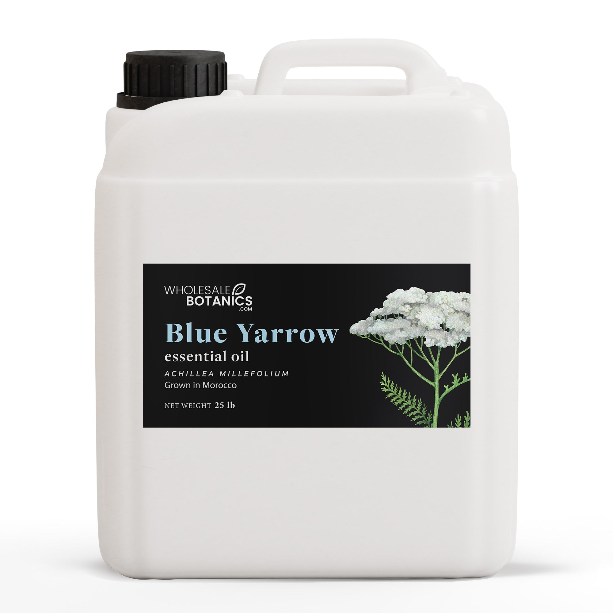 Blue Yarrow Essential Oil