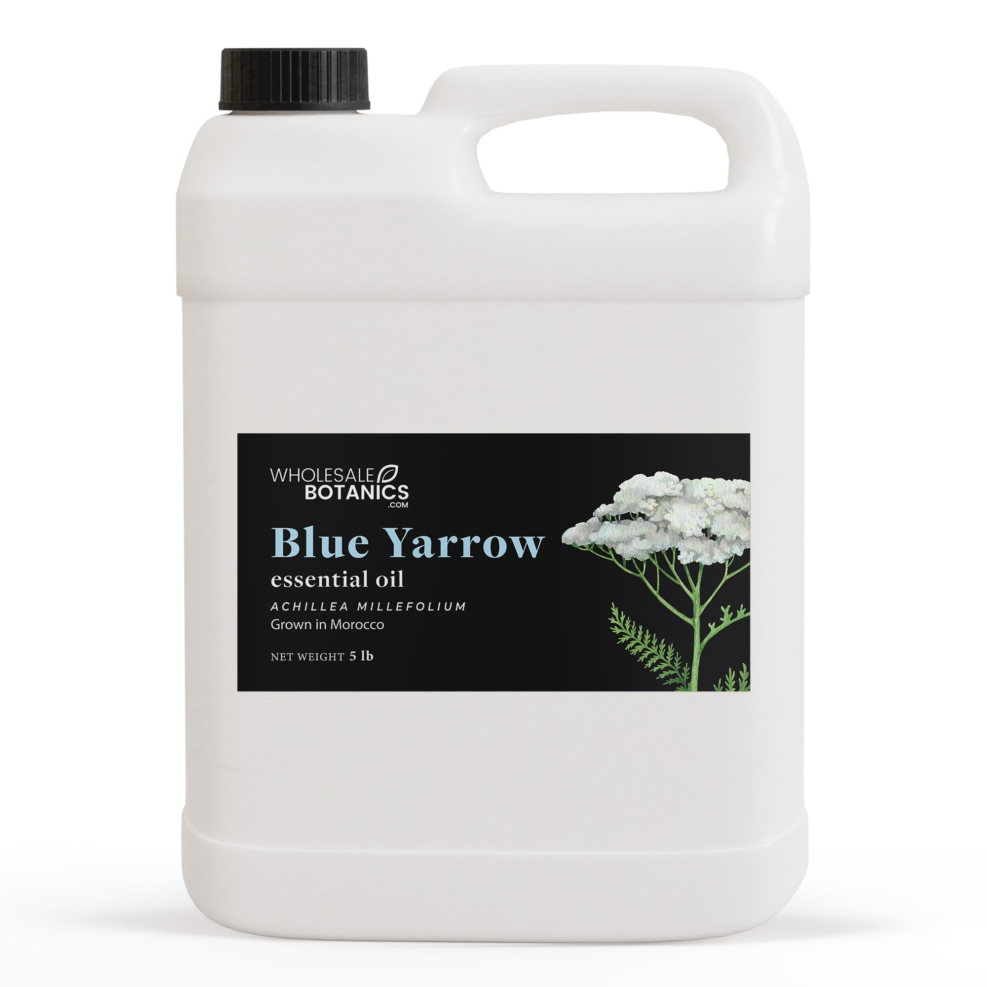 Blue Yarrow Essential Oil