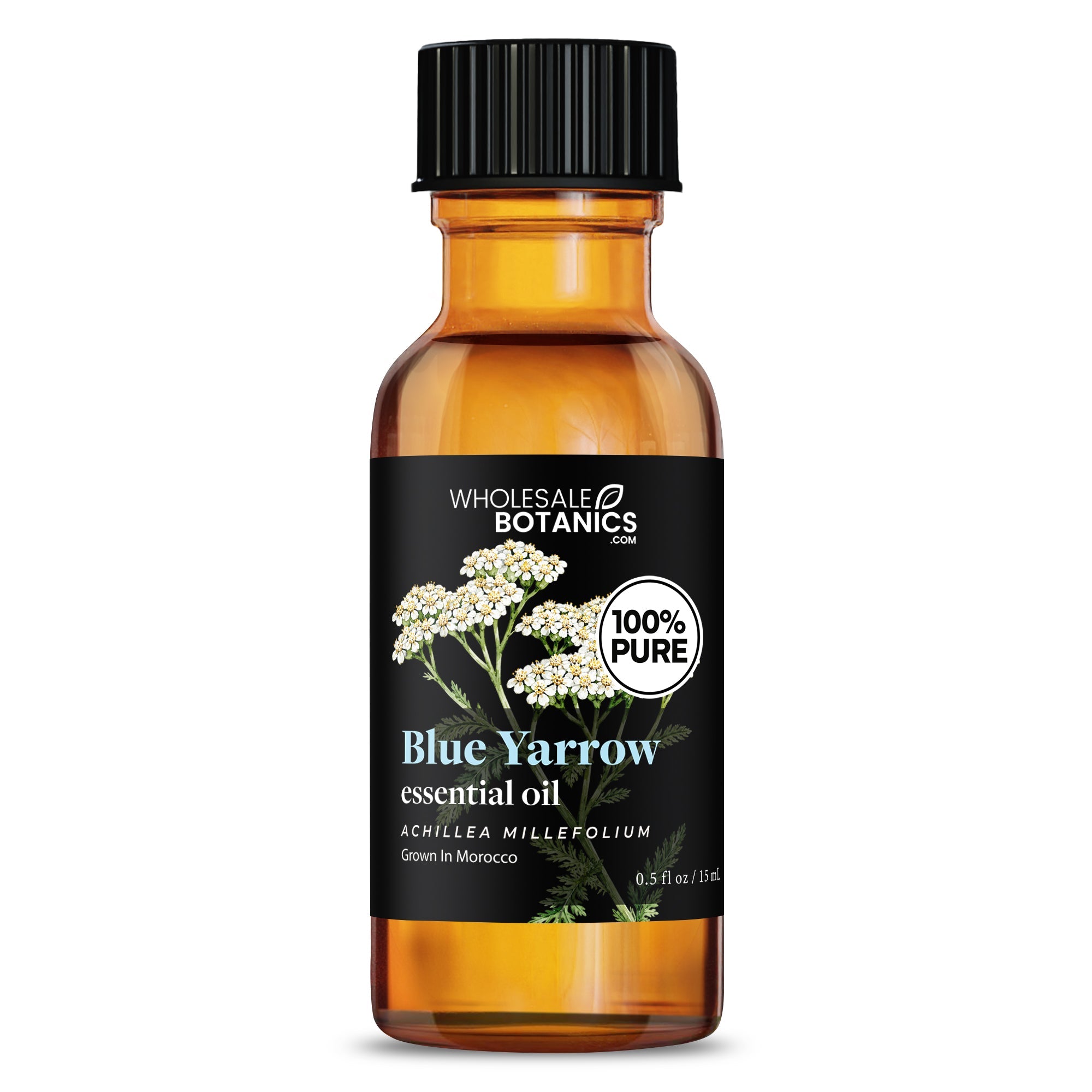 Blue Yarrow Essential Oil