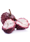 Red Sugar Apple Seedling (Annona squamosa L.)
