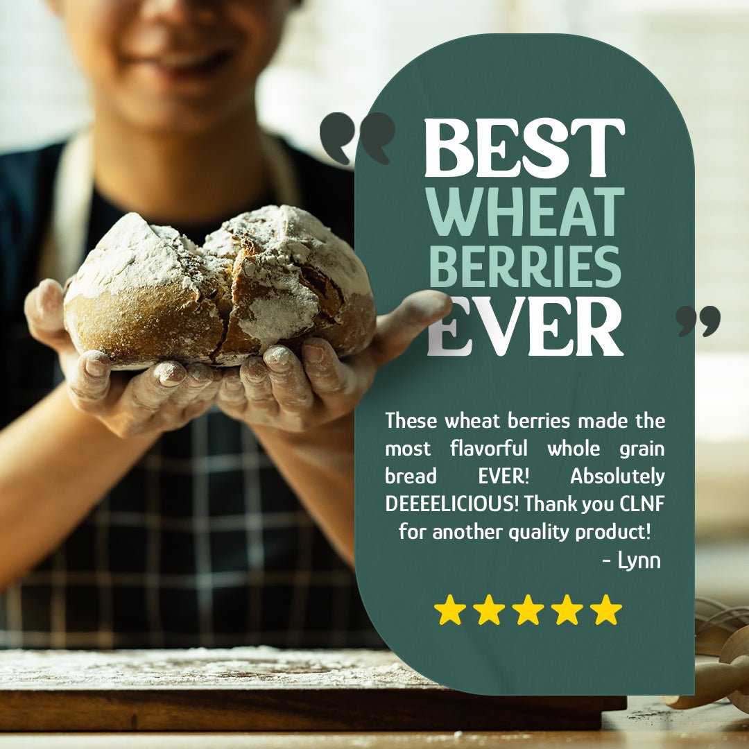 Wheat Berries, Bronze Chief (Red)