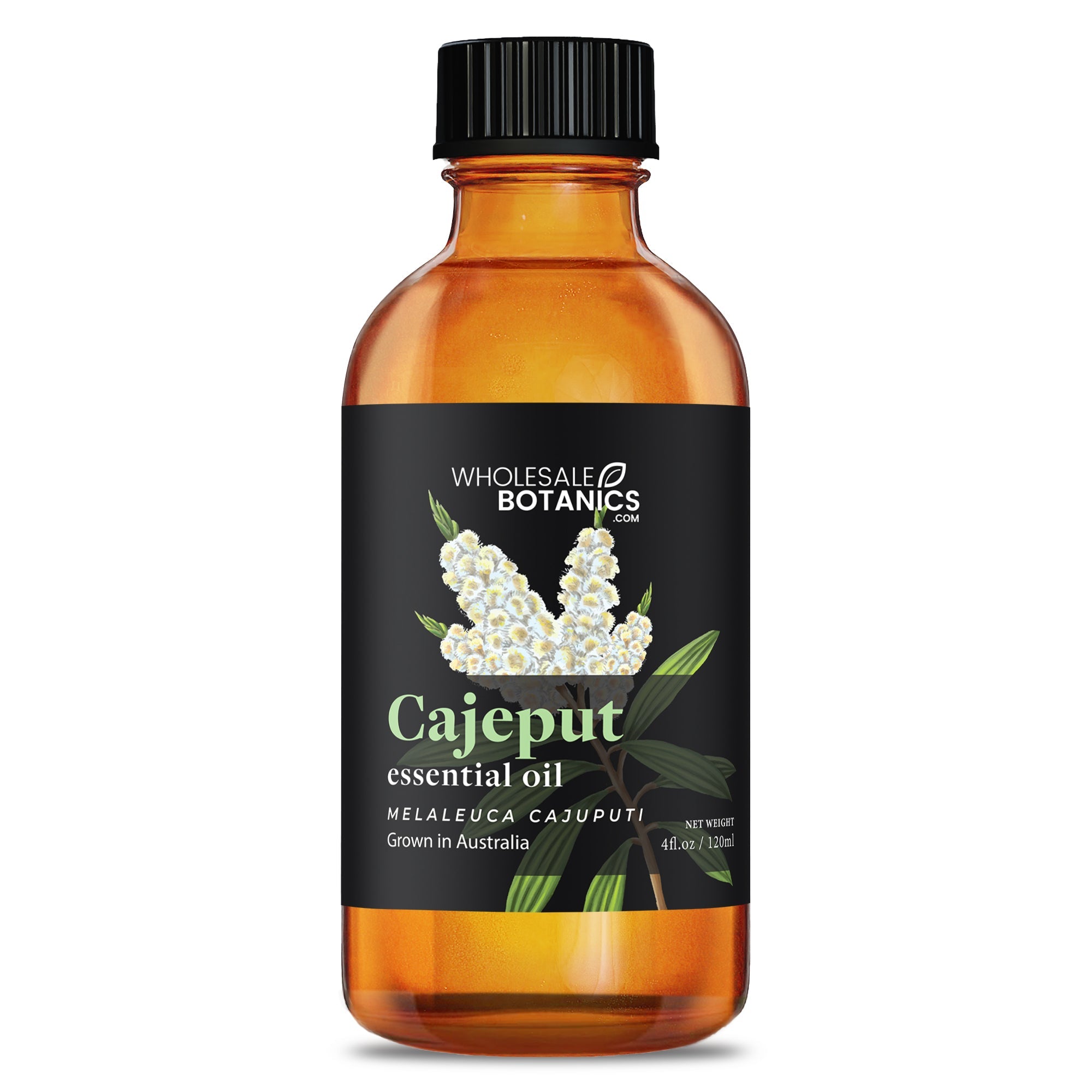 Cajeput Essential Oil