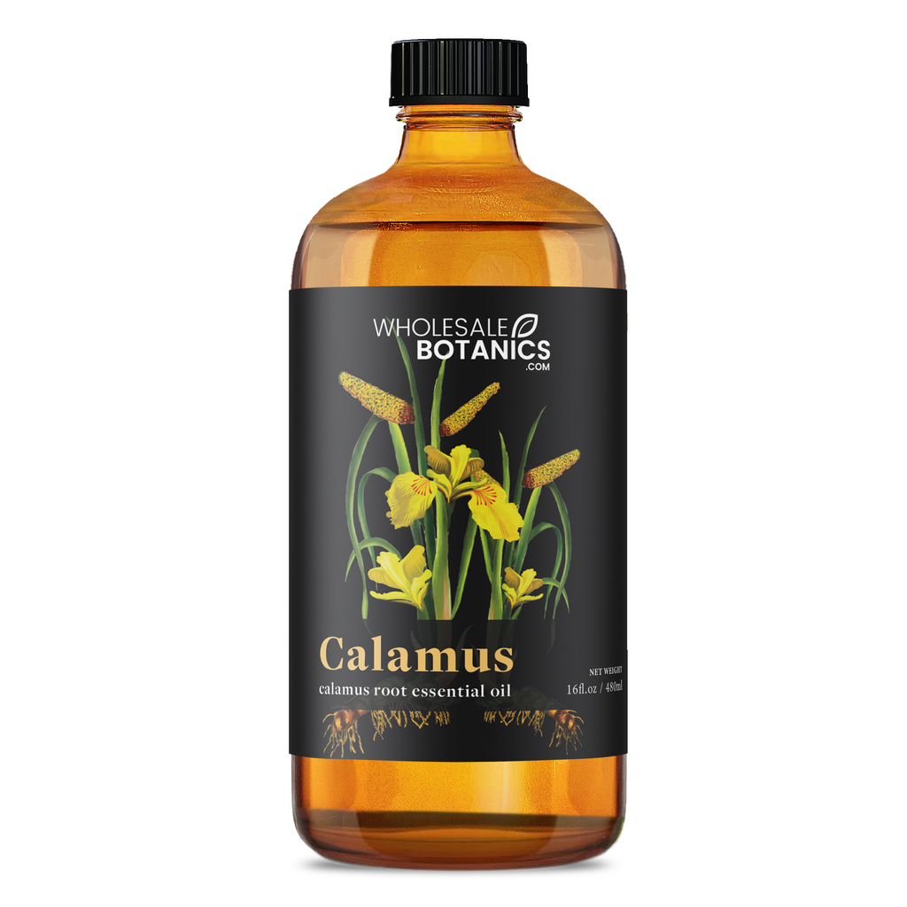 Calamus Essential Oil