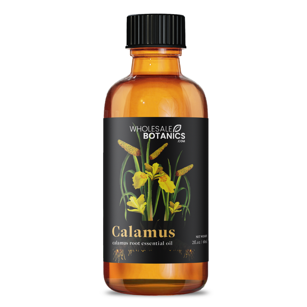 Calamus Essential Oil