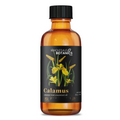 Calamus Essential Oil