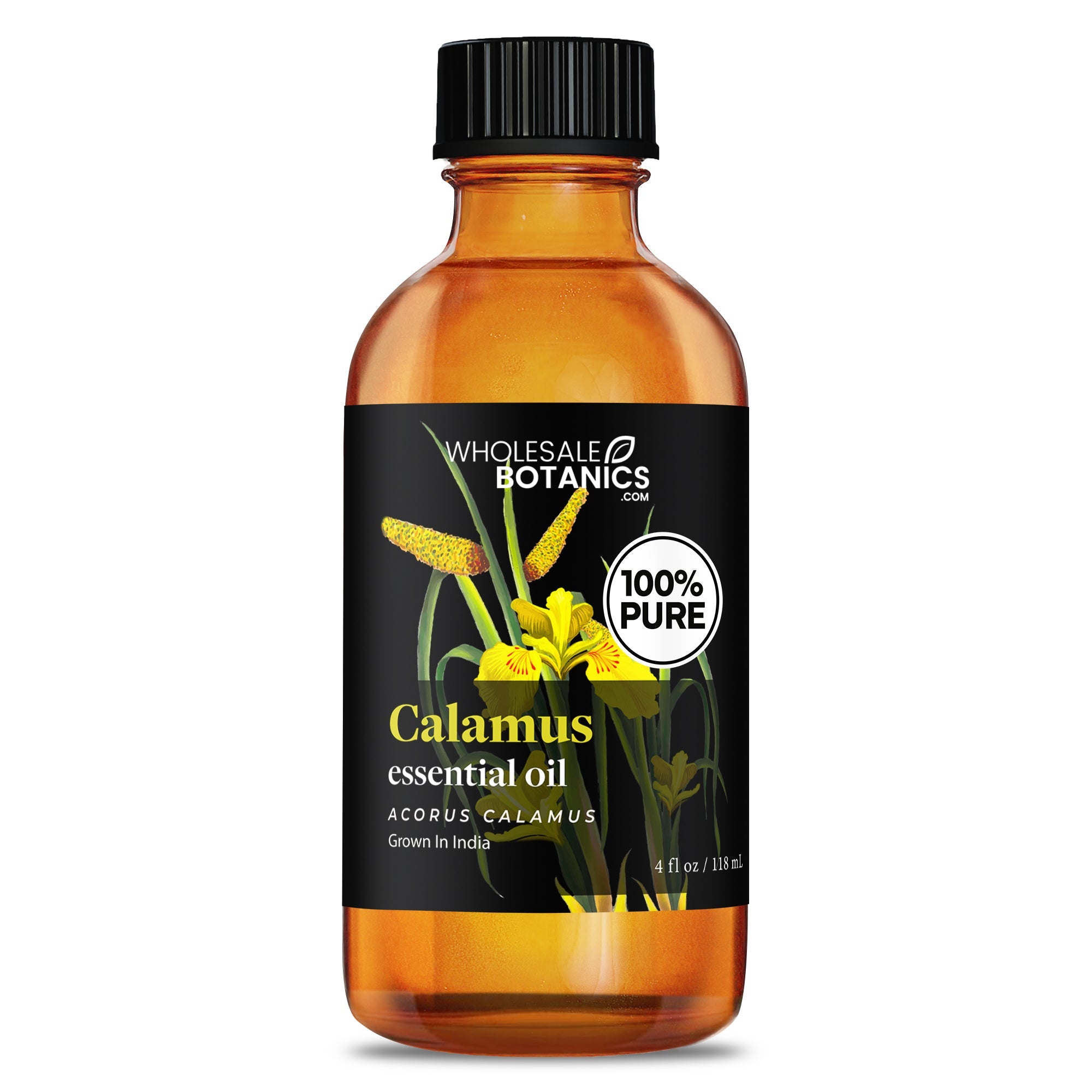 Calamus Essential Oil