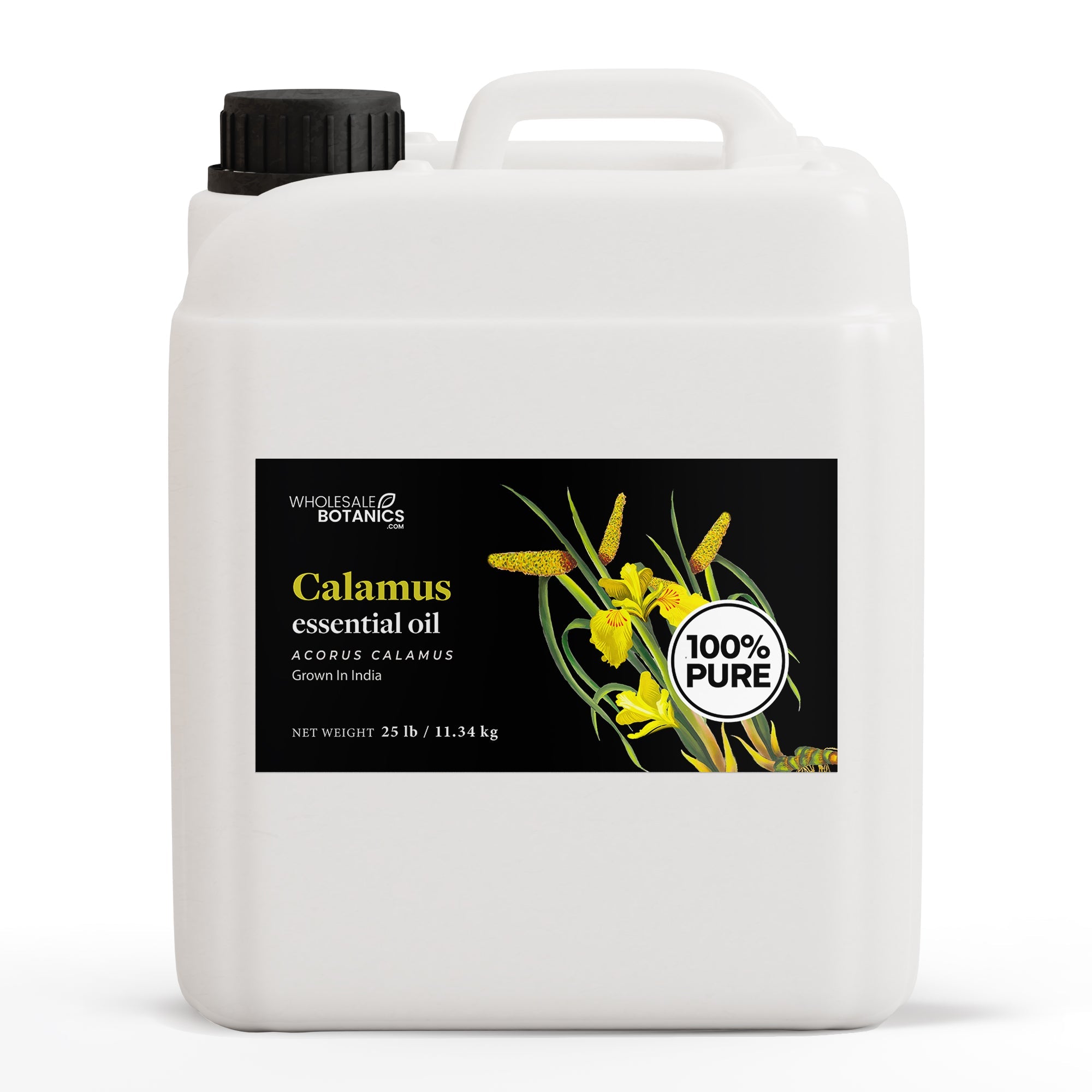 Calamus Essential Oil
