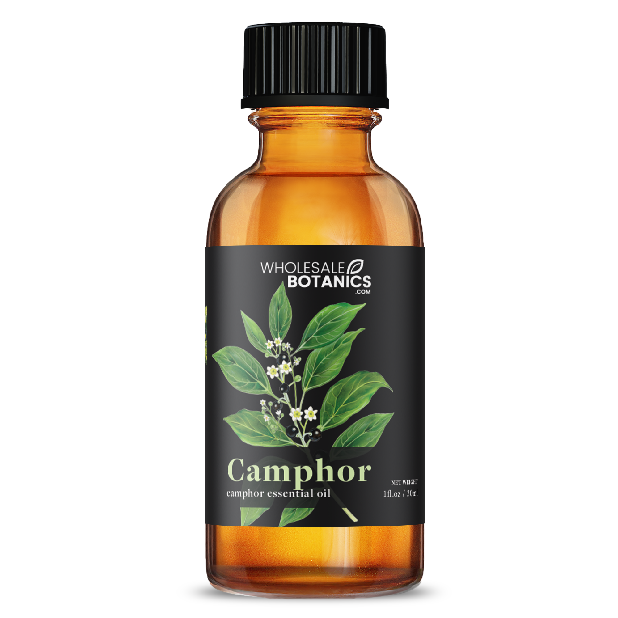 Camphor Essential Oil