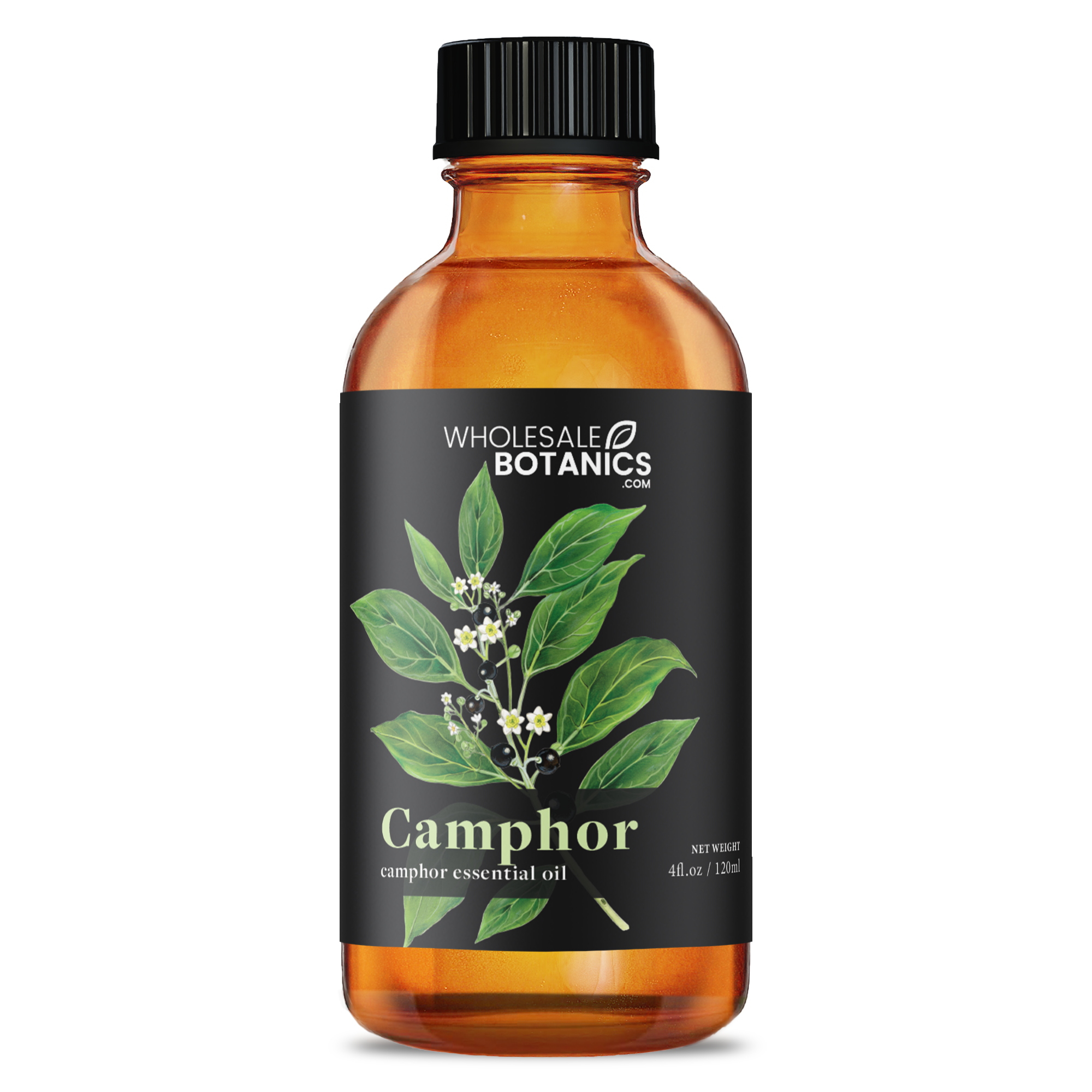 Camphor Essential Oil