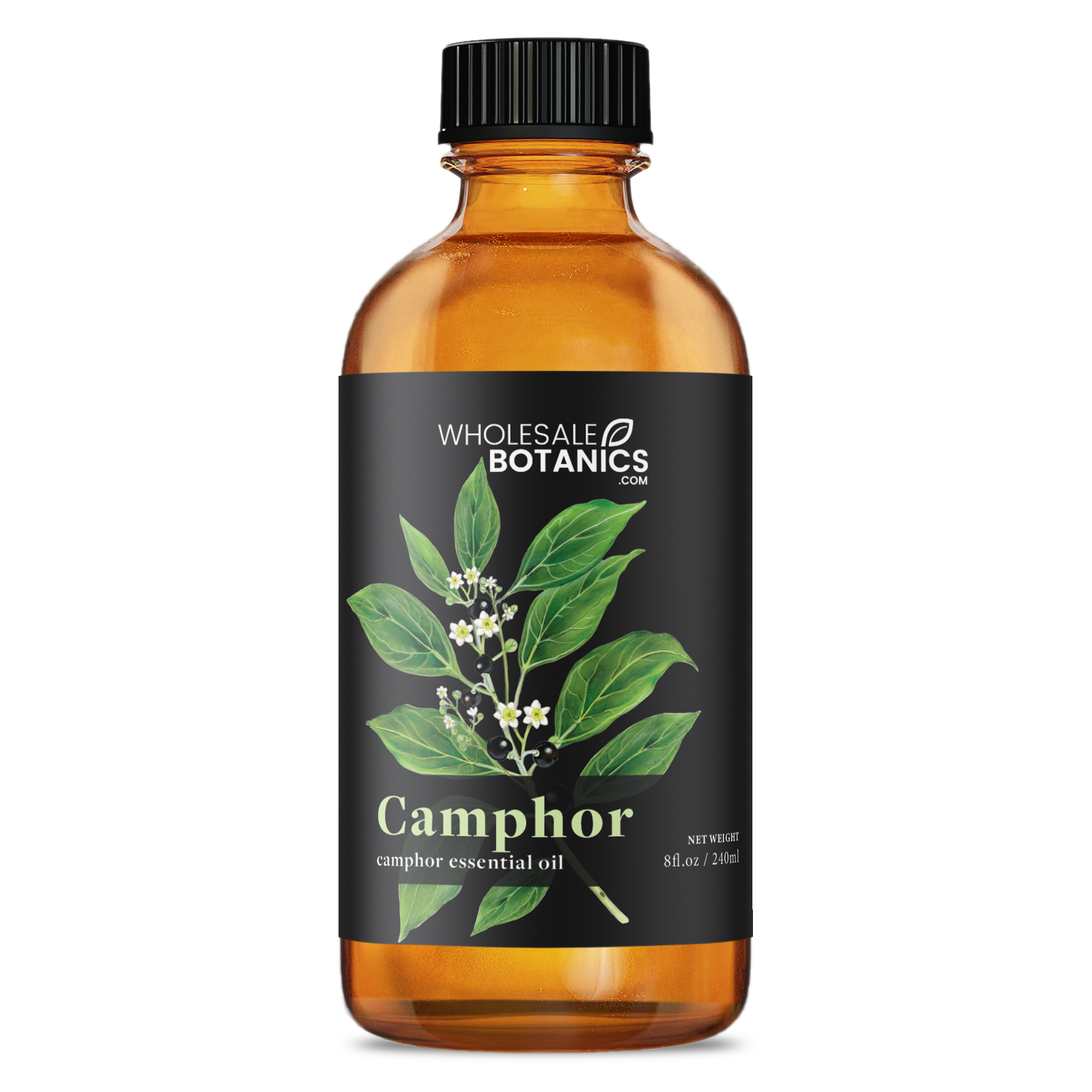 Camphor Essential Oil