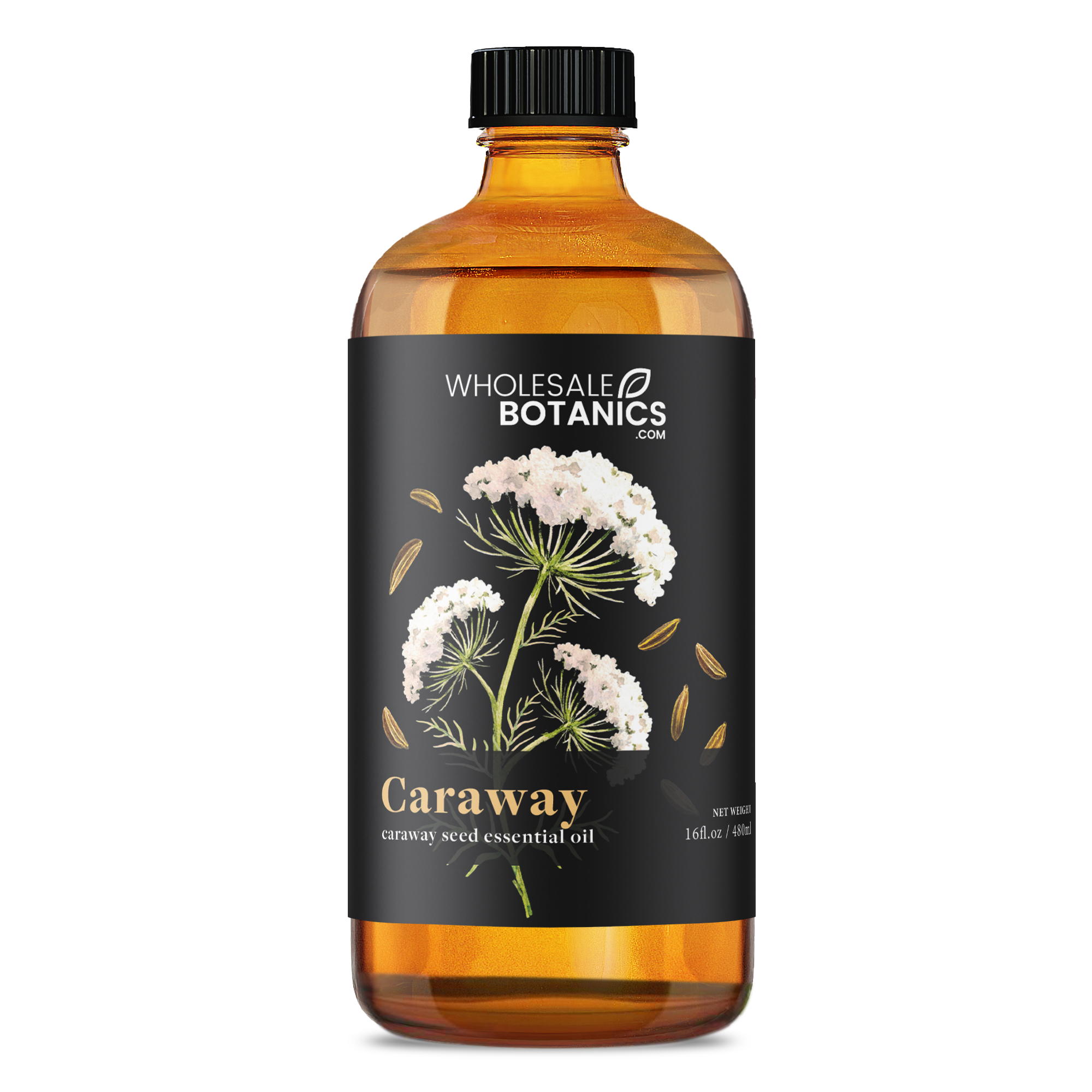 Caraway Essential Oil