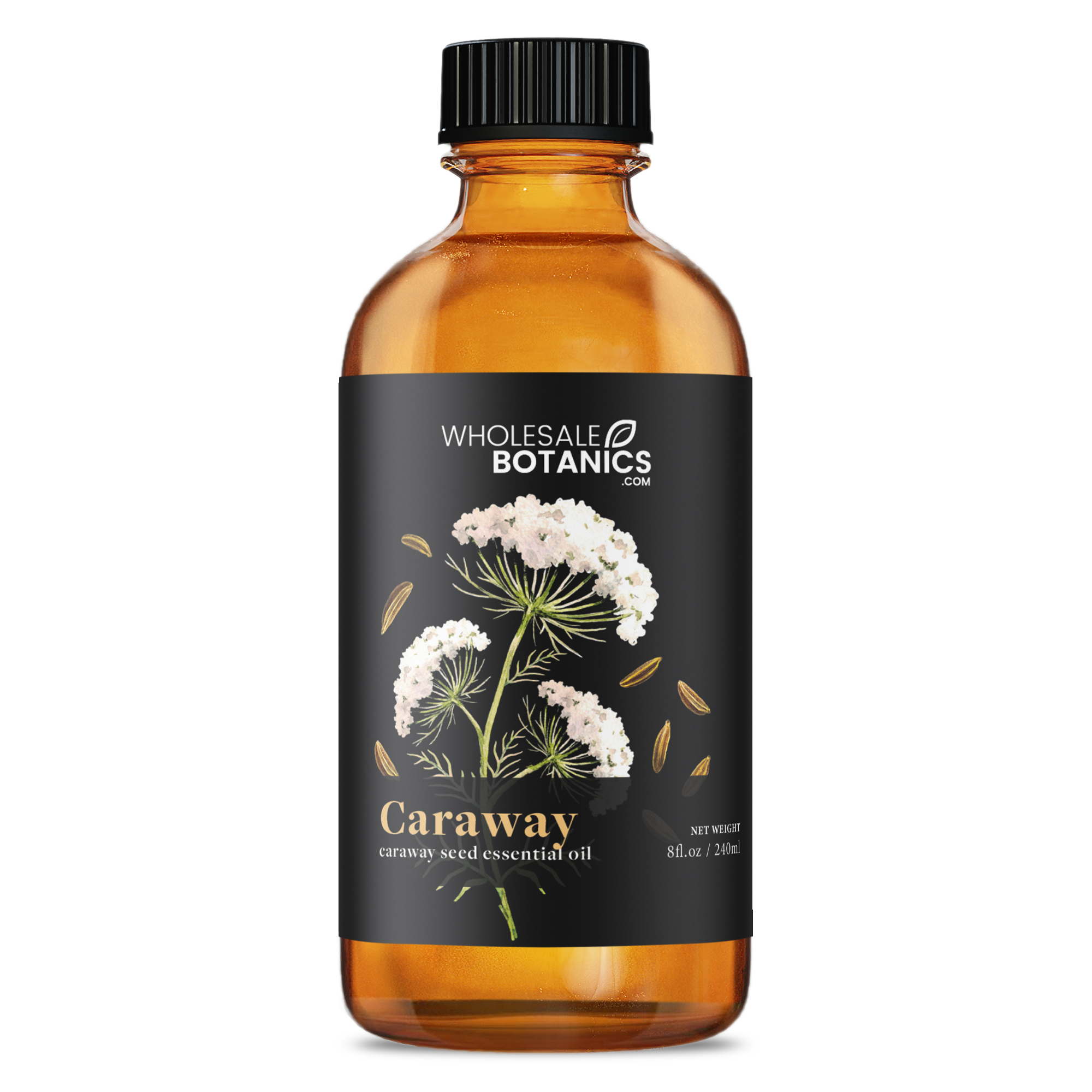 Caraway Essential Oil