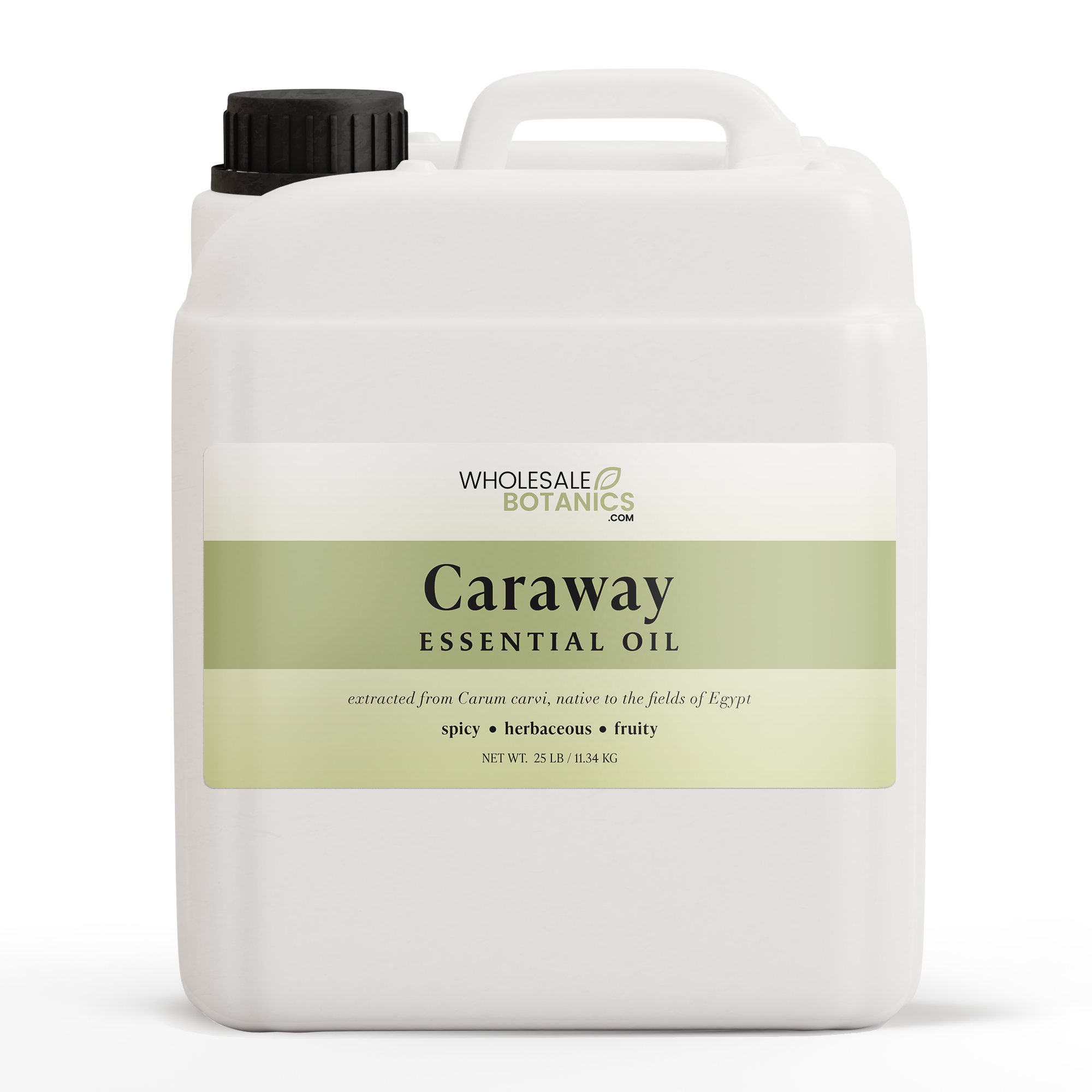 Caraway Essential Oil