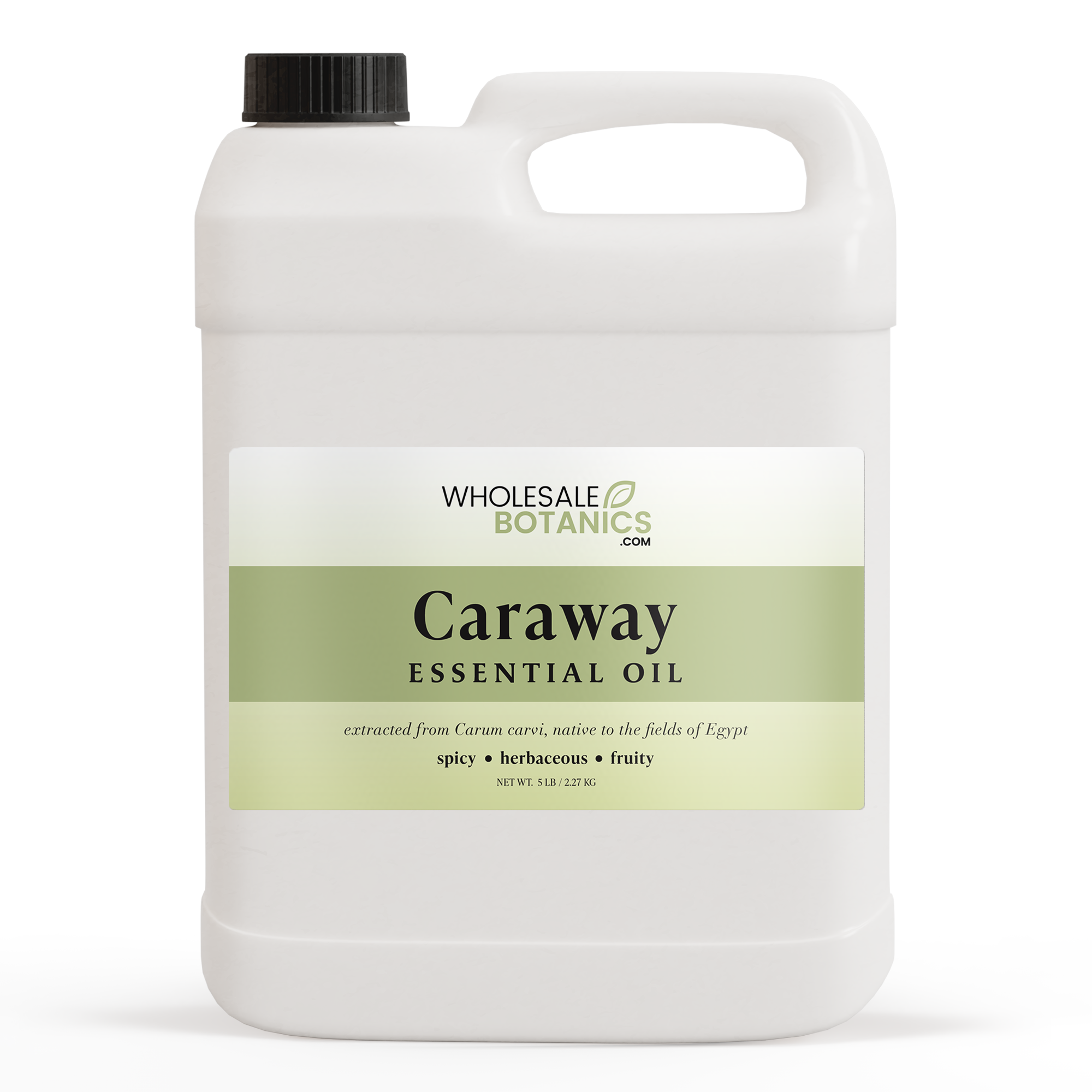 Caraway Essential Oil