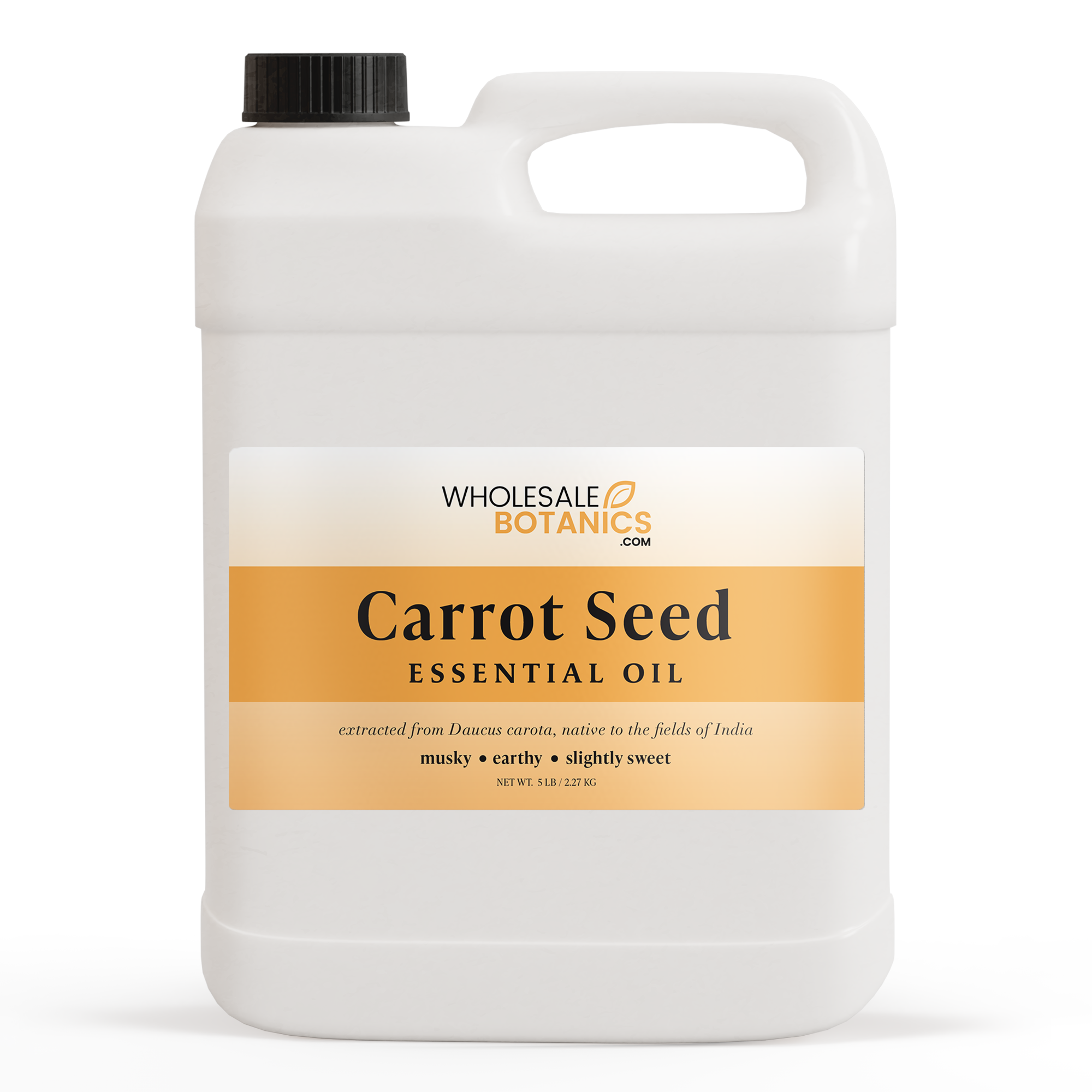 Carrot Seed Essential Oil