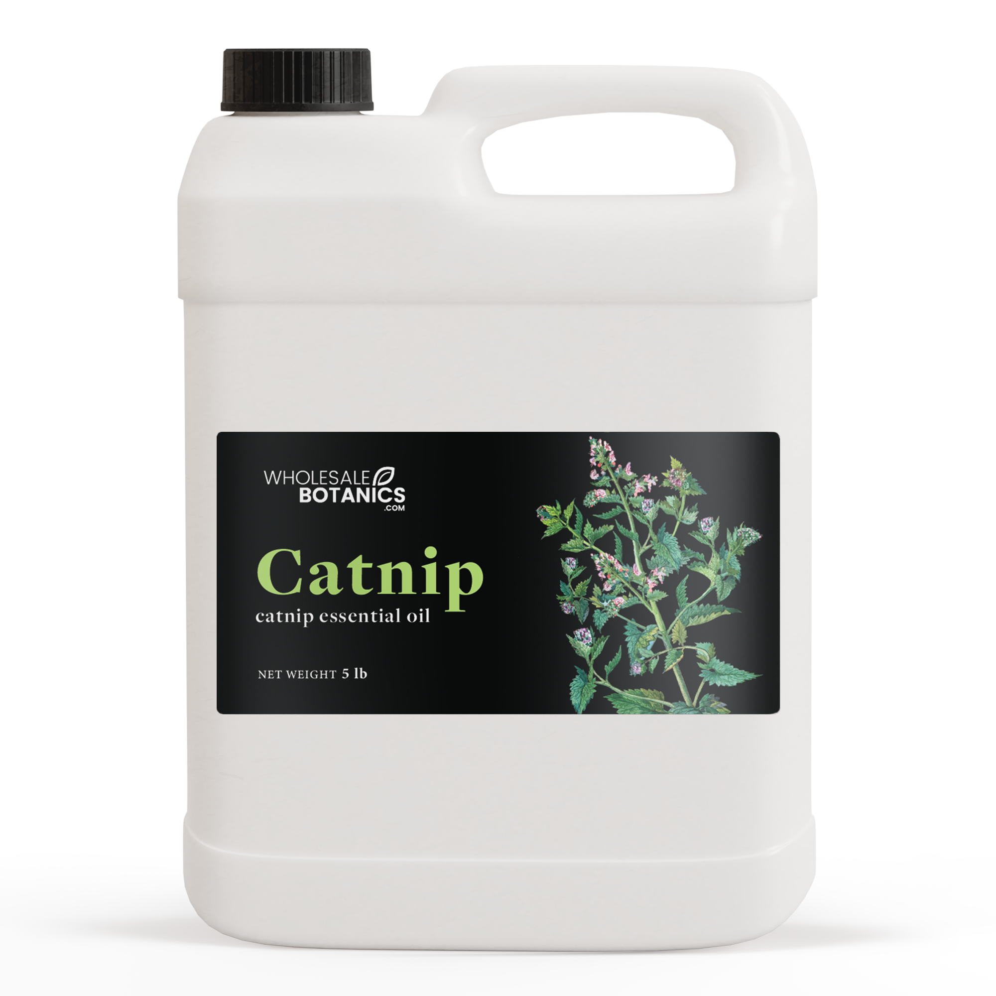 Catnip Essential Oil