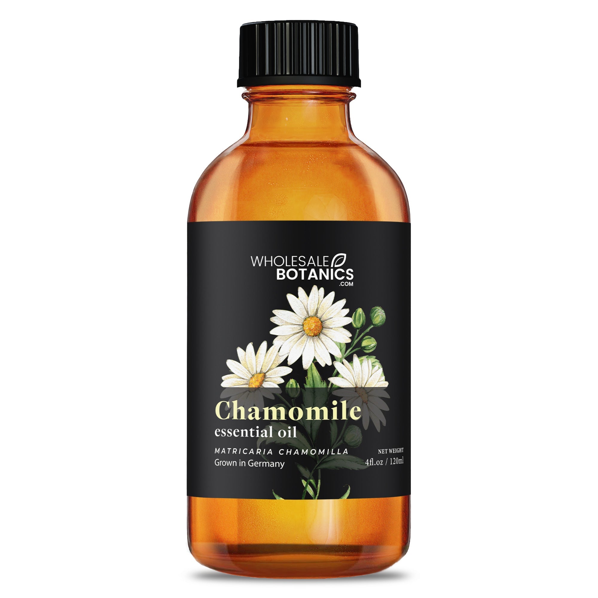 Chamomile Essential Oil