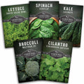 Cool Weather Garden Seeds Collection – 5 Heirloom Non-GMO Vegetables for Fall & Spring Planting | Cold-Hardy Greens & Herbs