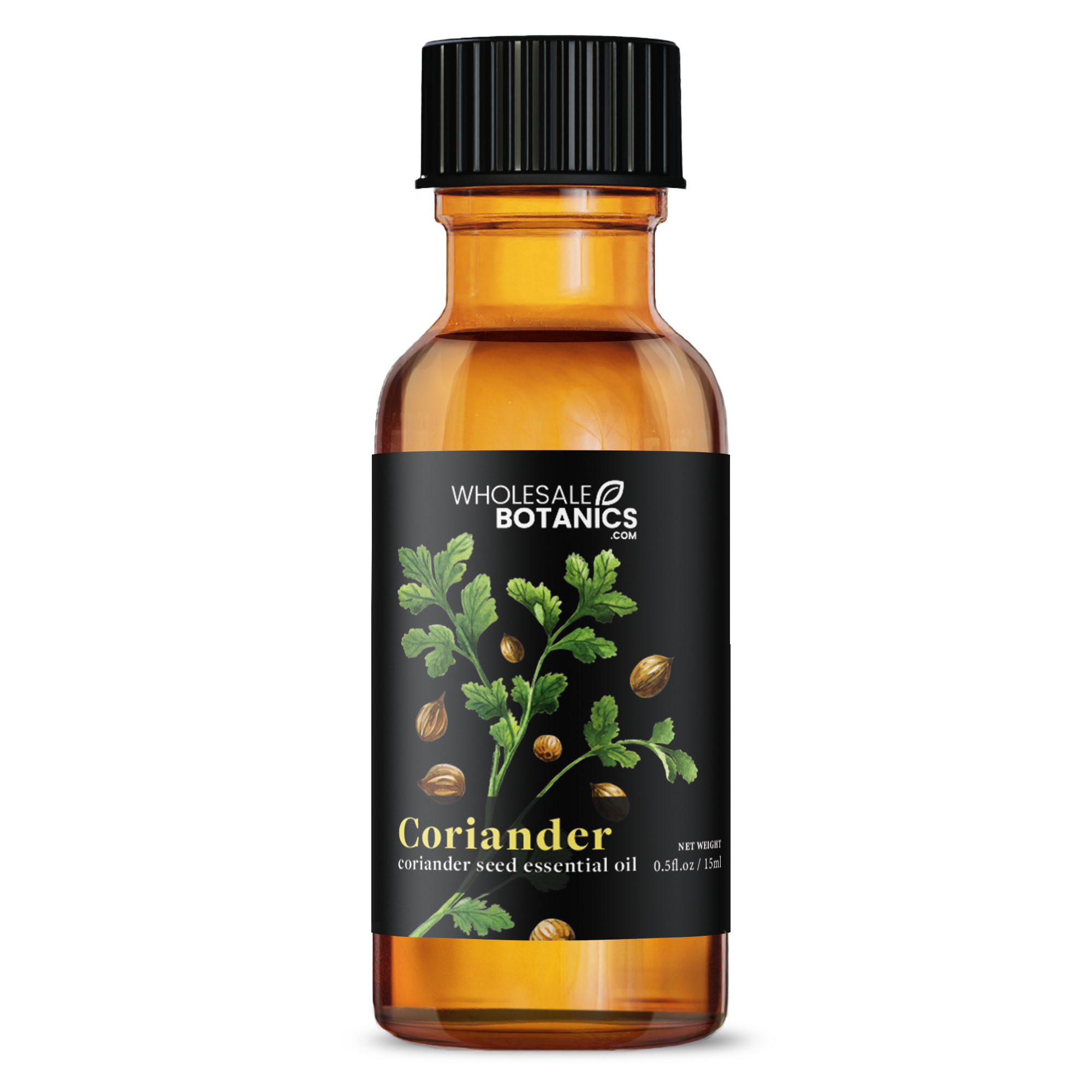 Coriander Essential Oil