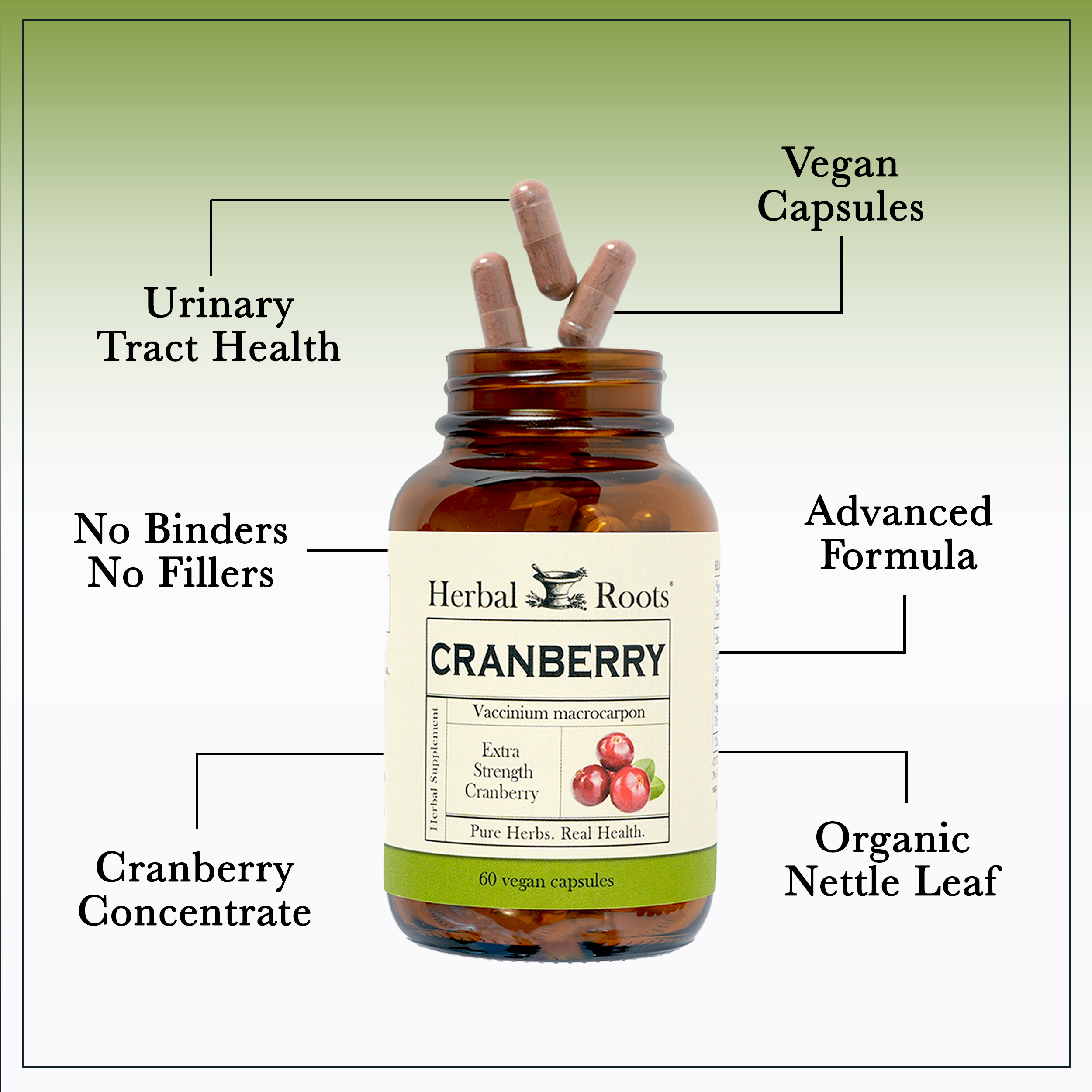 Cranberry with Nettle