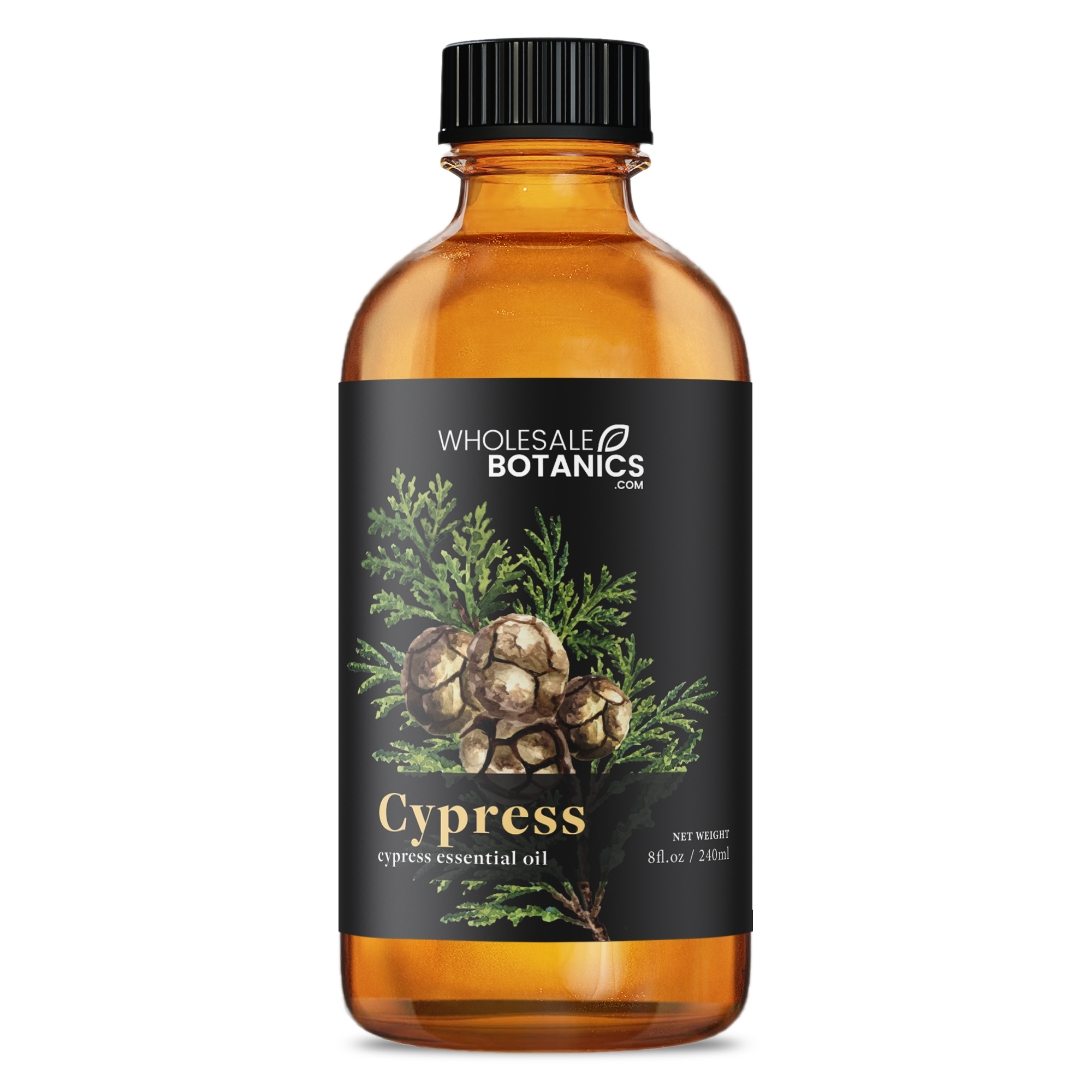 Cypress Essential Oil