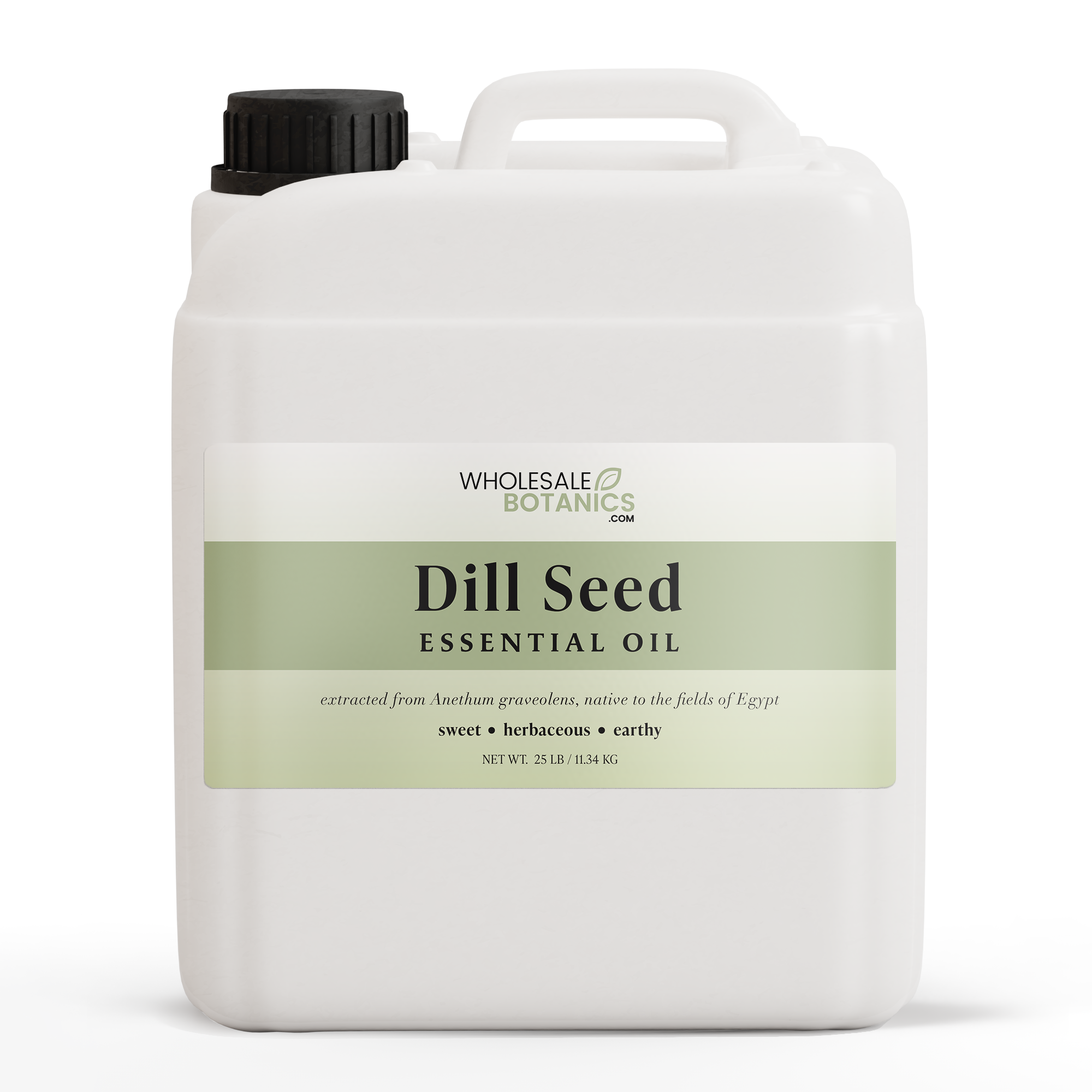 Dill Seed Essential Oil