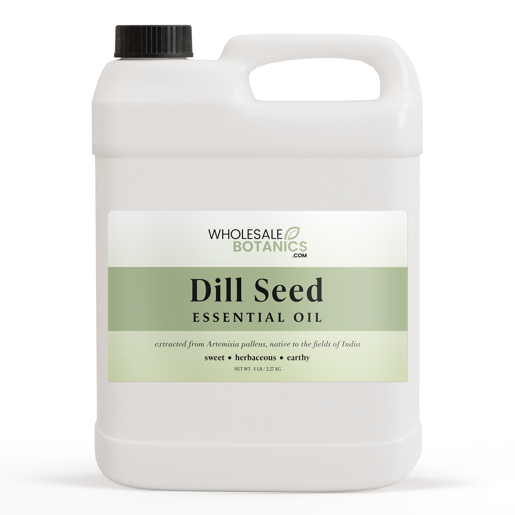 Dill Seed Essential Oil