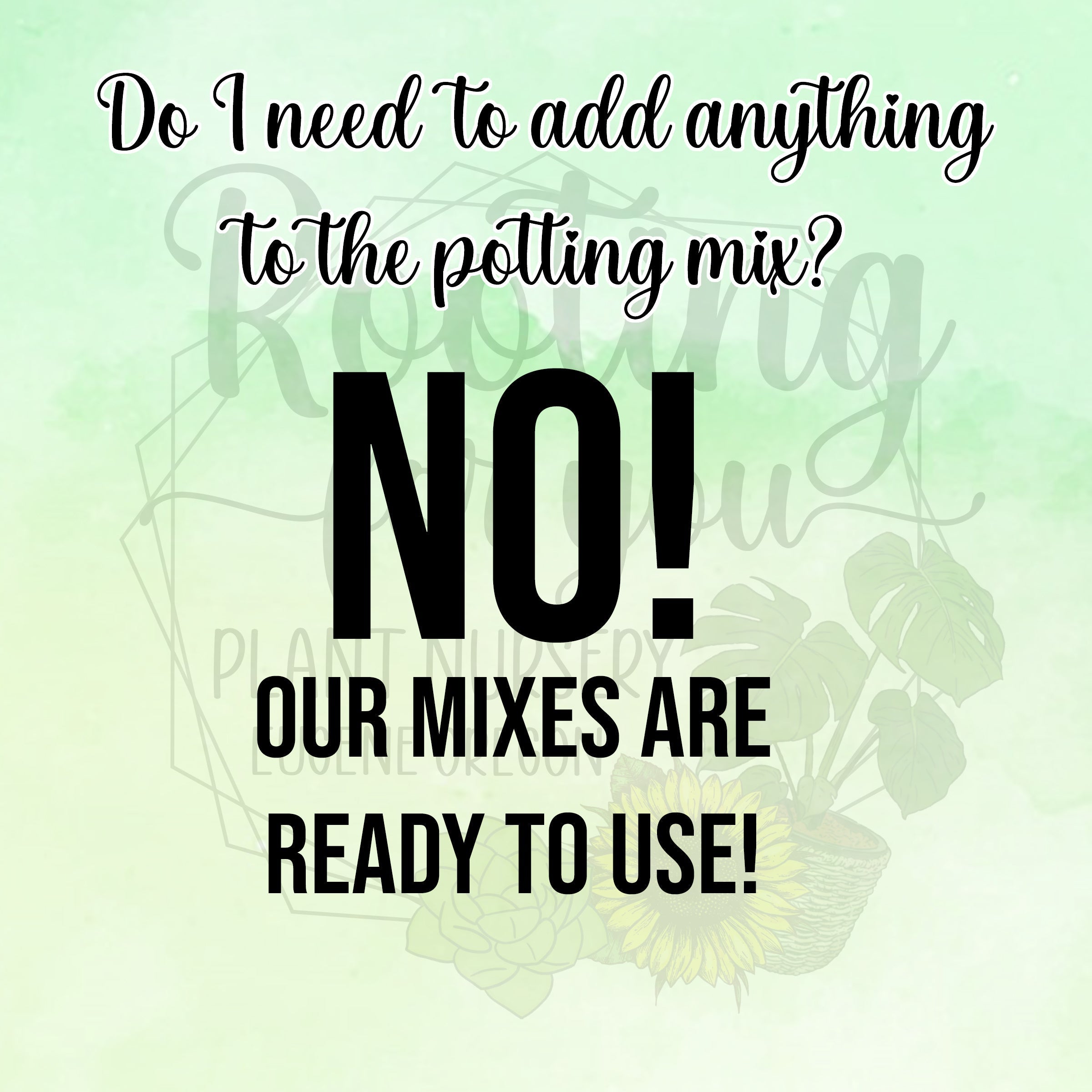Spruce Premium Potting Mix