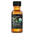 Organic Eucalyptus Essential Oil