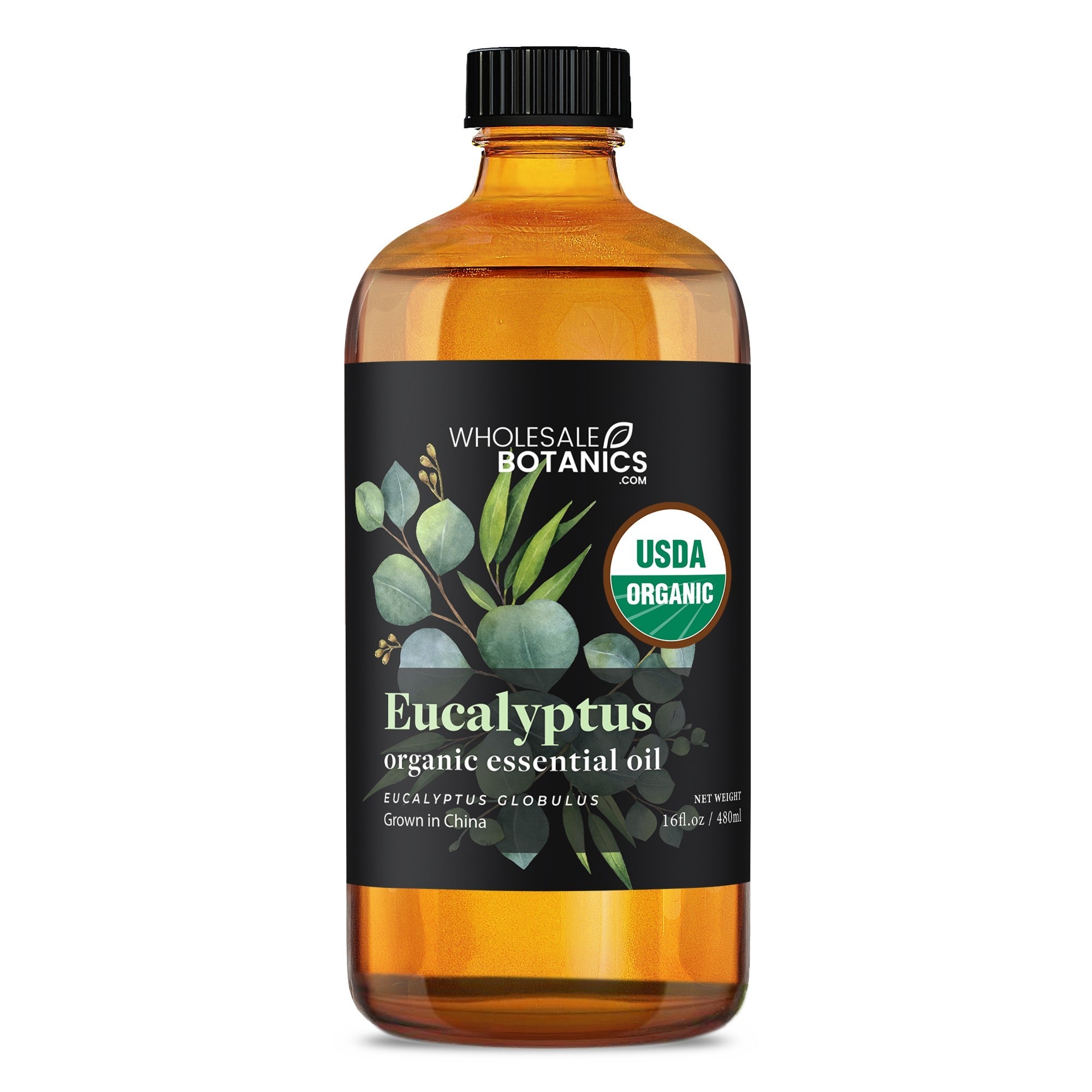 Organic Eucalyptus Essential Oil